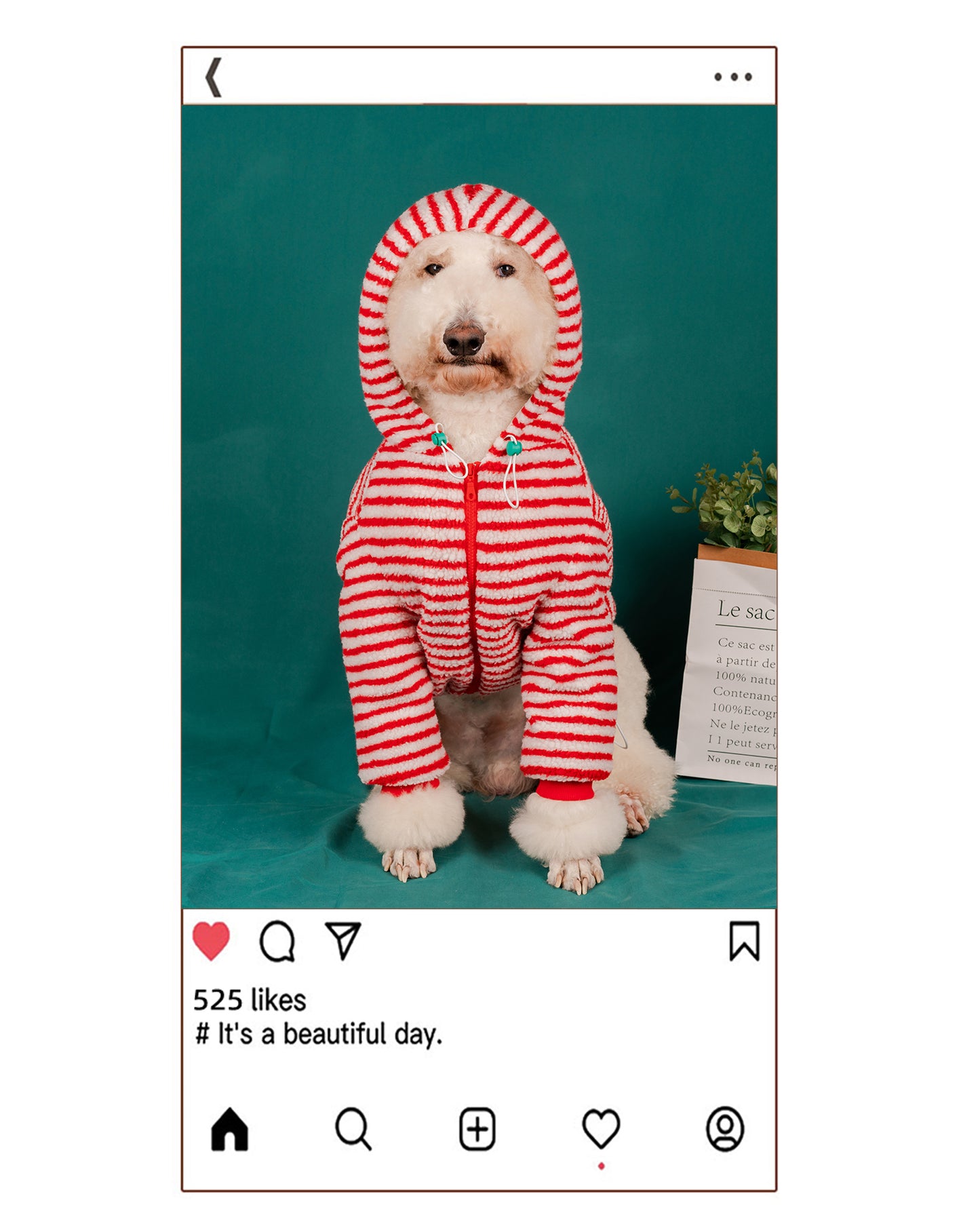 【FUNKYPET】 Striped Fleece Hoodie for Dogs