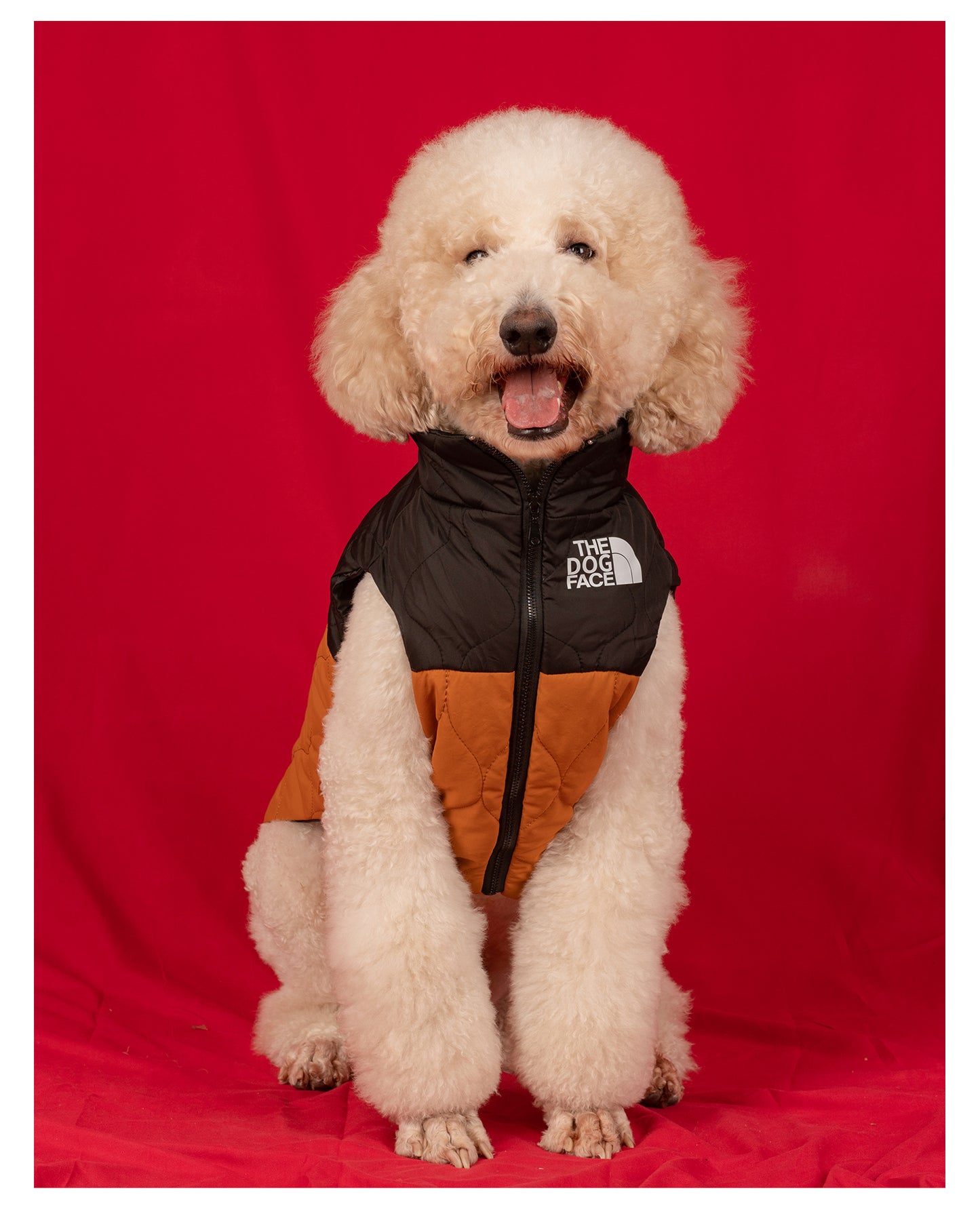 【FUNKYPET】Retro Quilted Dog Vest