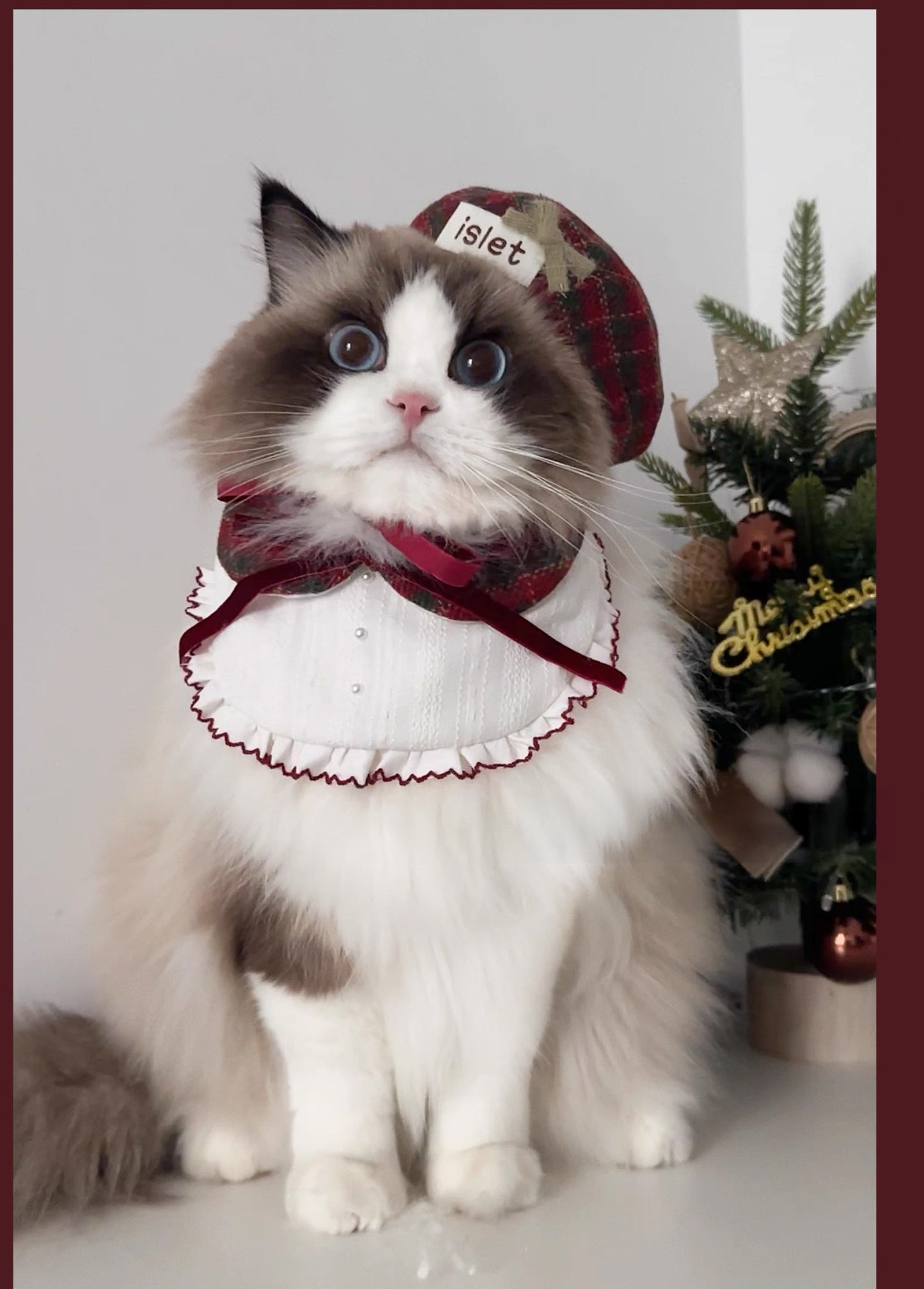 【islet】 Christmas Pet Collar & Bandana Set - F