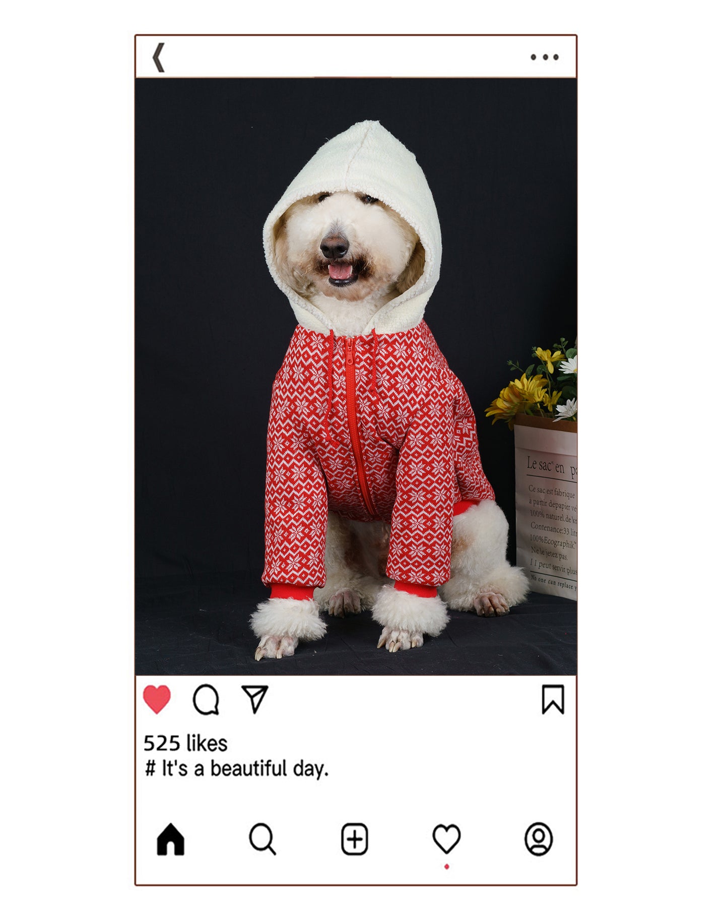 【FUNKYPET】 Red Hooded Dog Coat