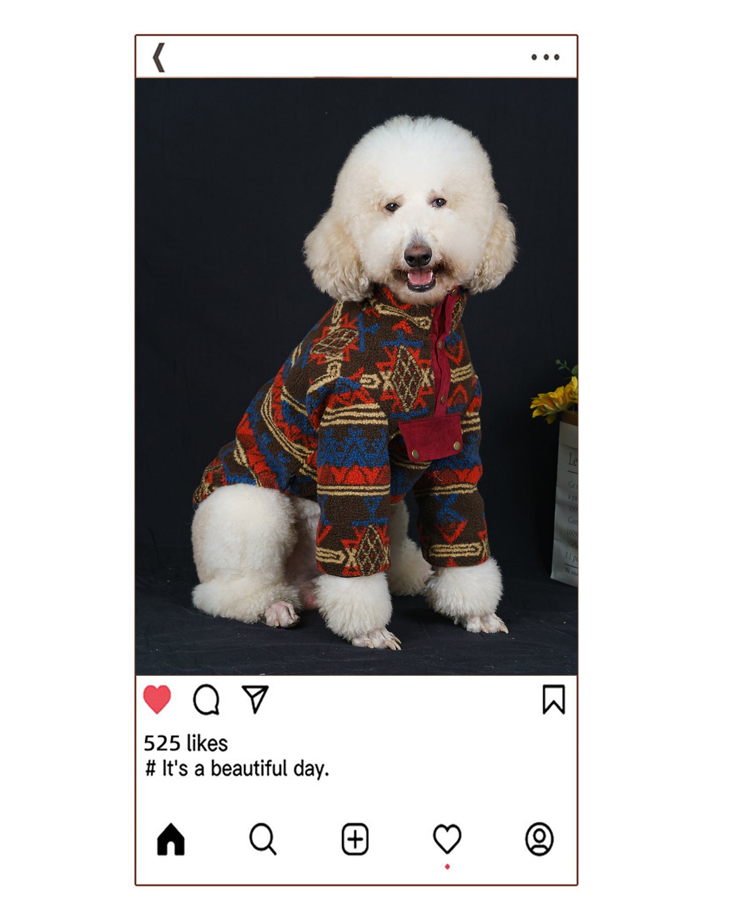 【FUNKYPET】 Stylish Winter Lamb Wool Dog Jacket