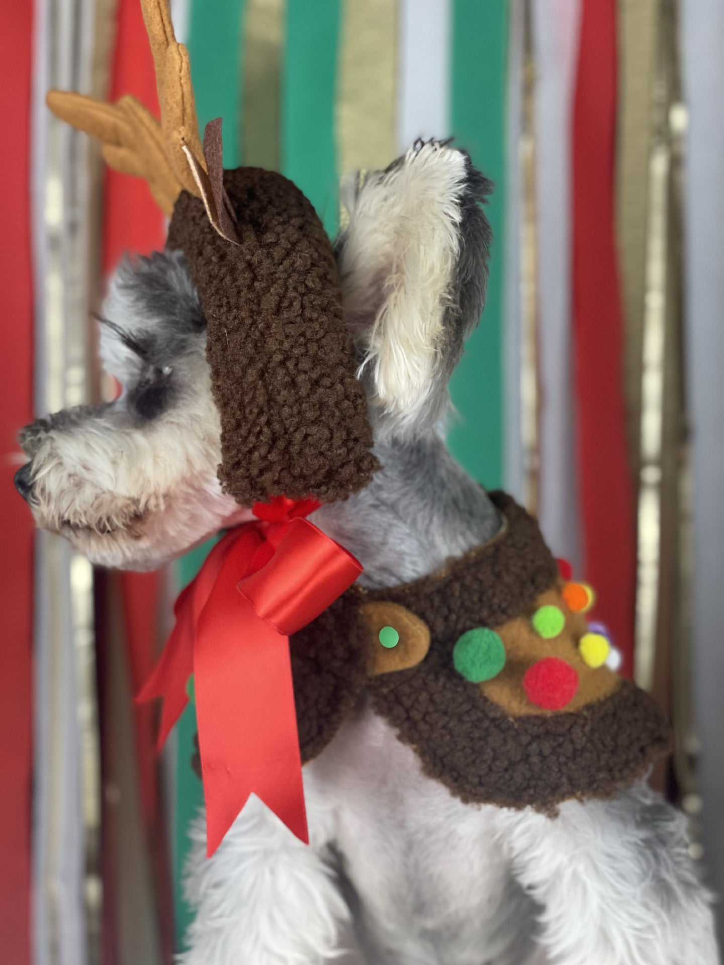 【TawneyBear】 Christmas Dog Headwear Accessories,