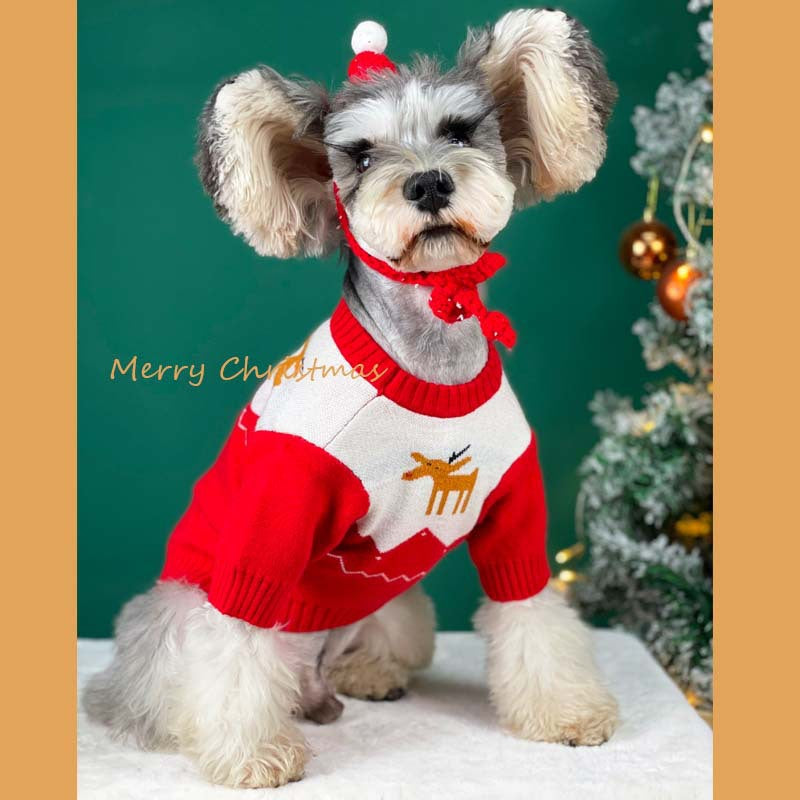 【TawneyBear】 Christmas Pet Sweater
