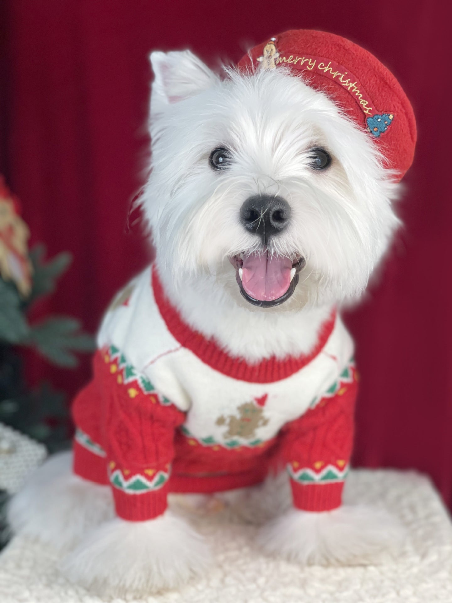 【TawneyBear】 Christmas Dog Sweater