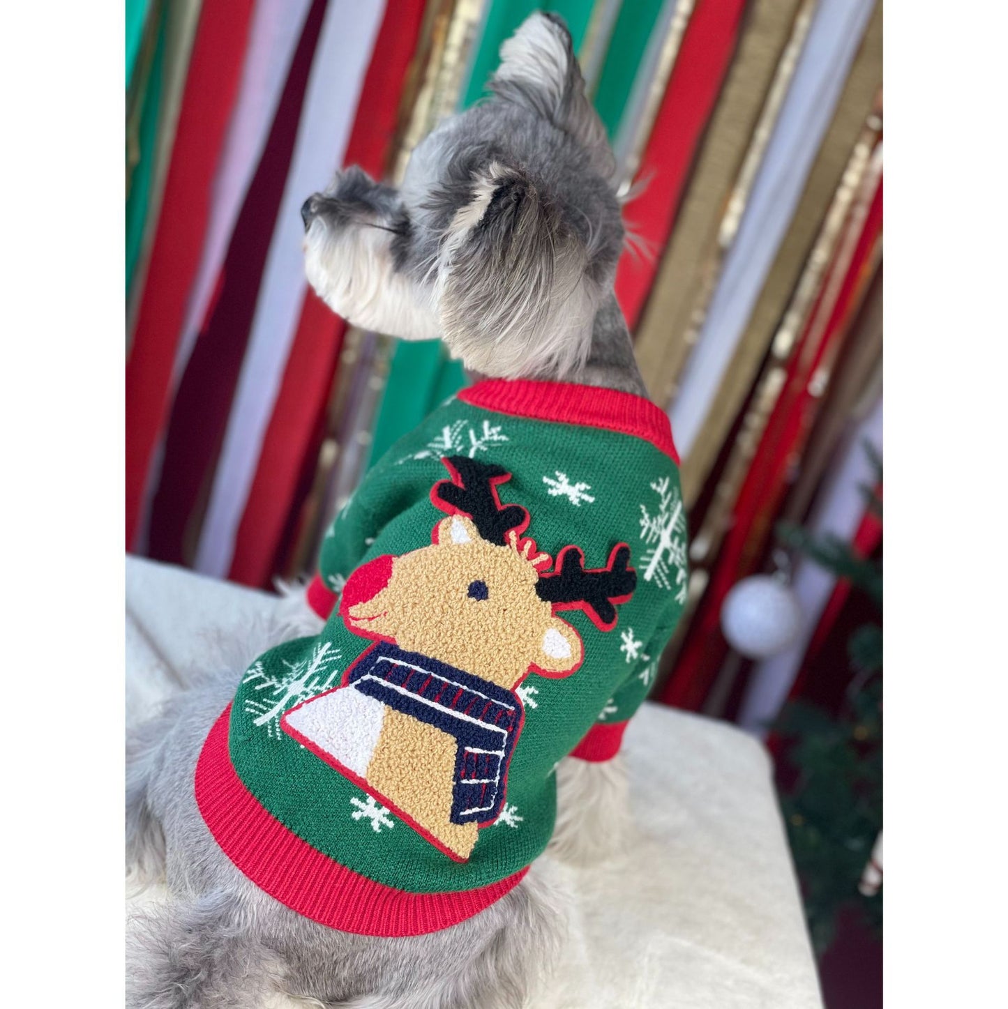 【TawneyBear】 Christmas Dog Sweater