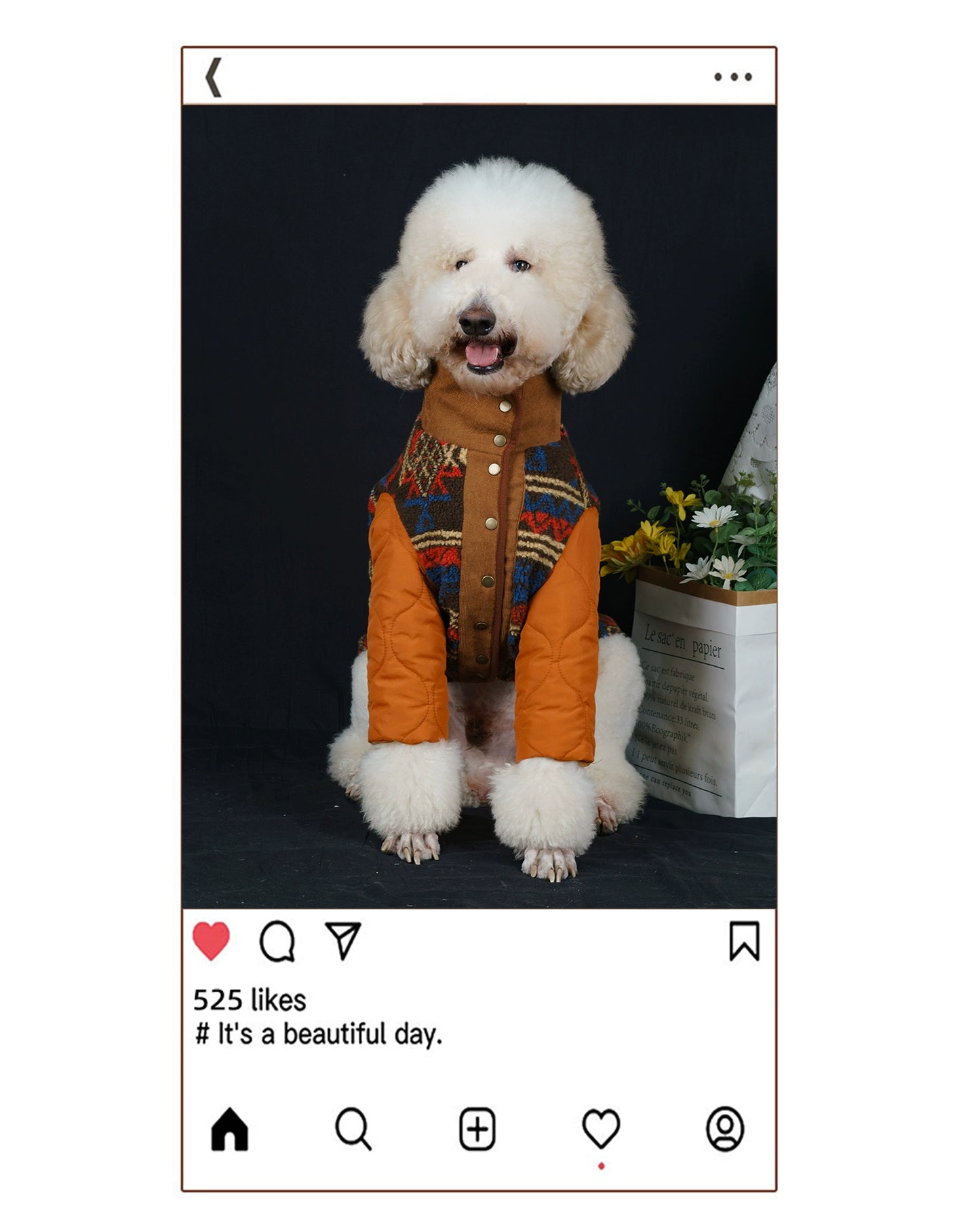 【FUNKYPET】 Ethnic Style Warm Dog Coat for Large Breeds