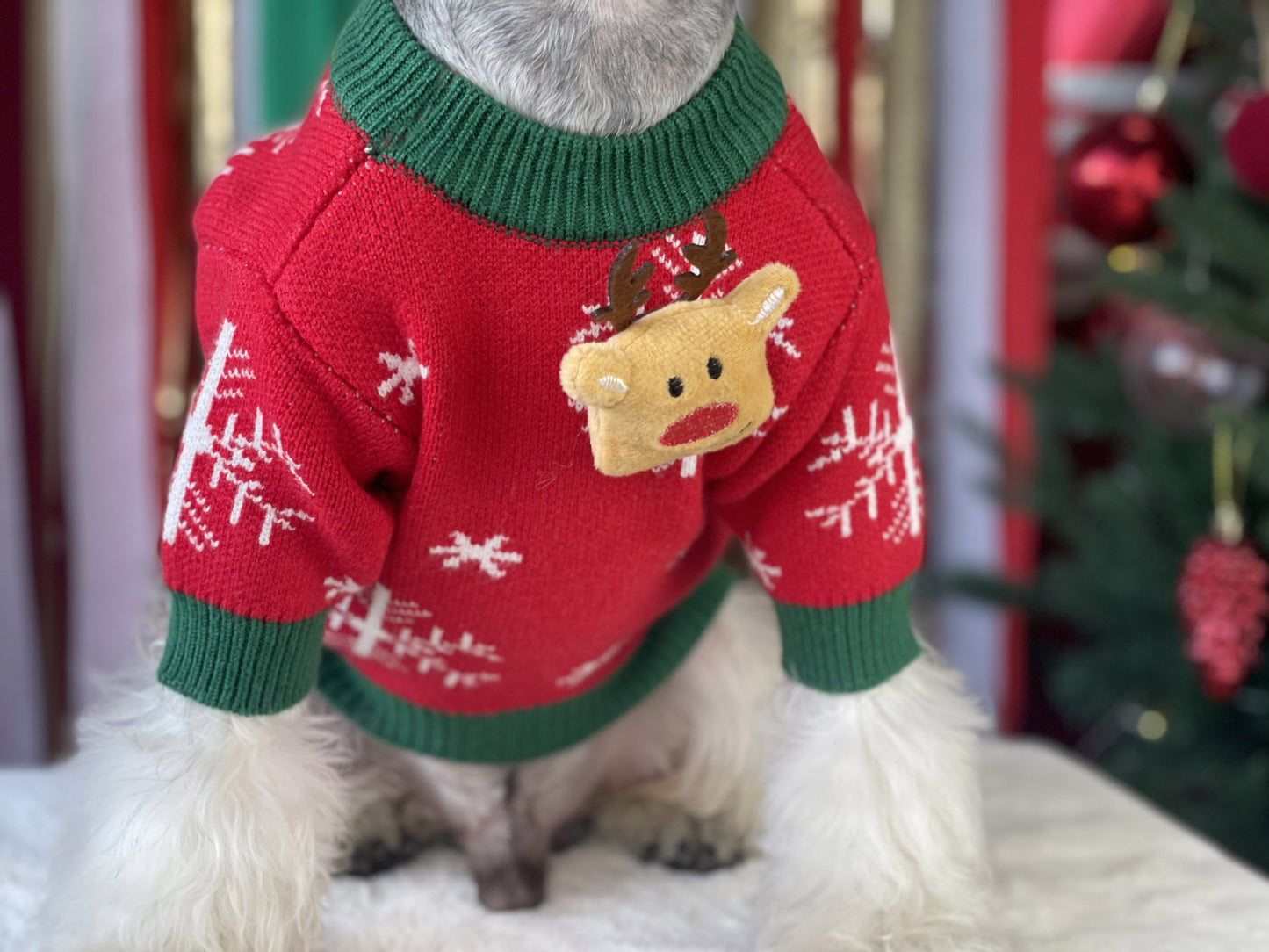 【TawneyBear】 Christmas Dog Sweater