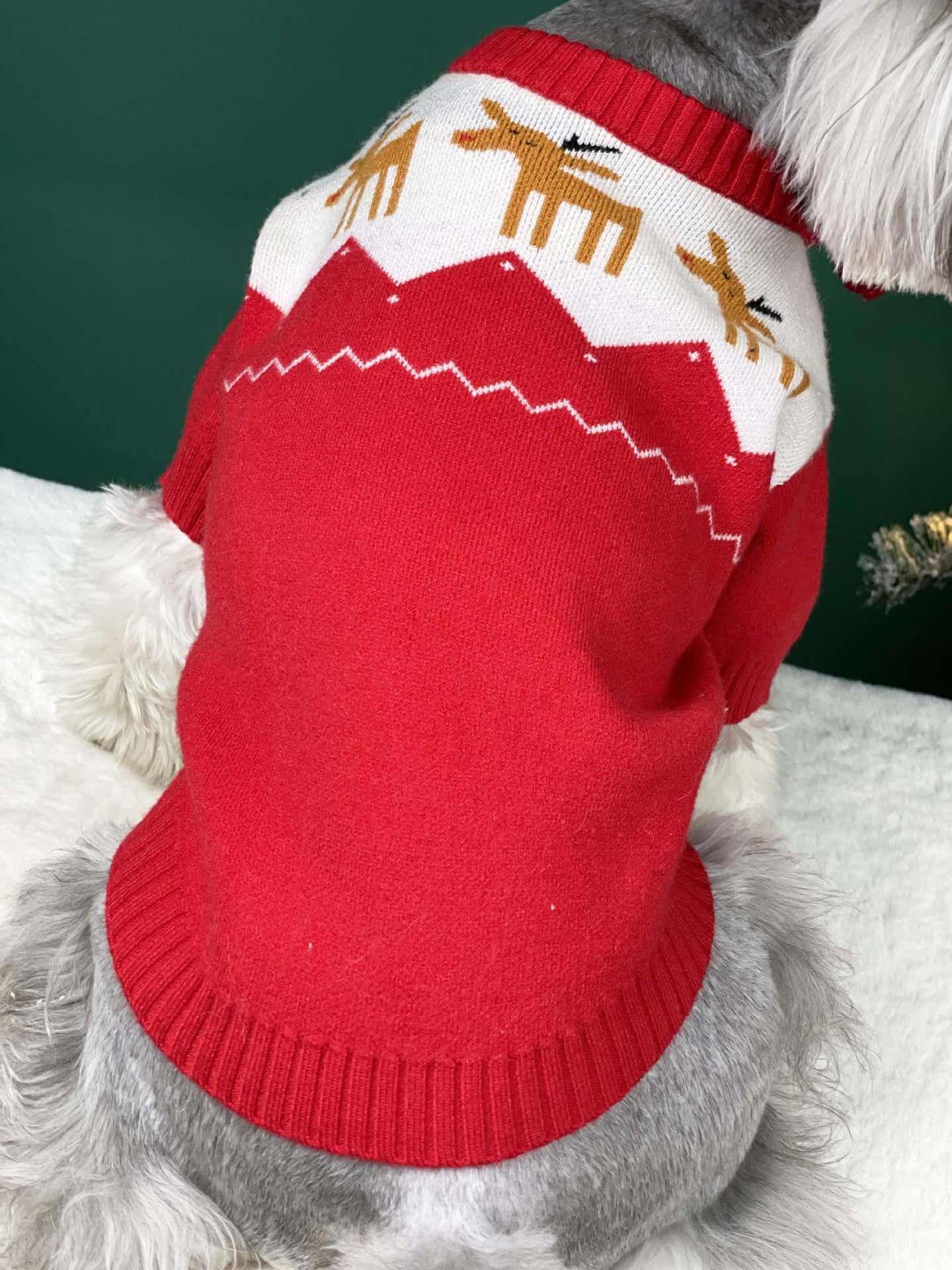 【TawneyBear】 Christmas Pet Sweater
