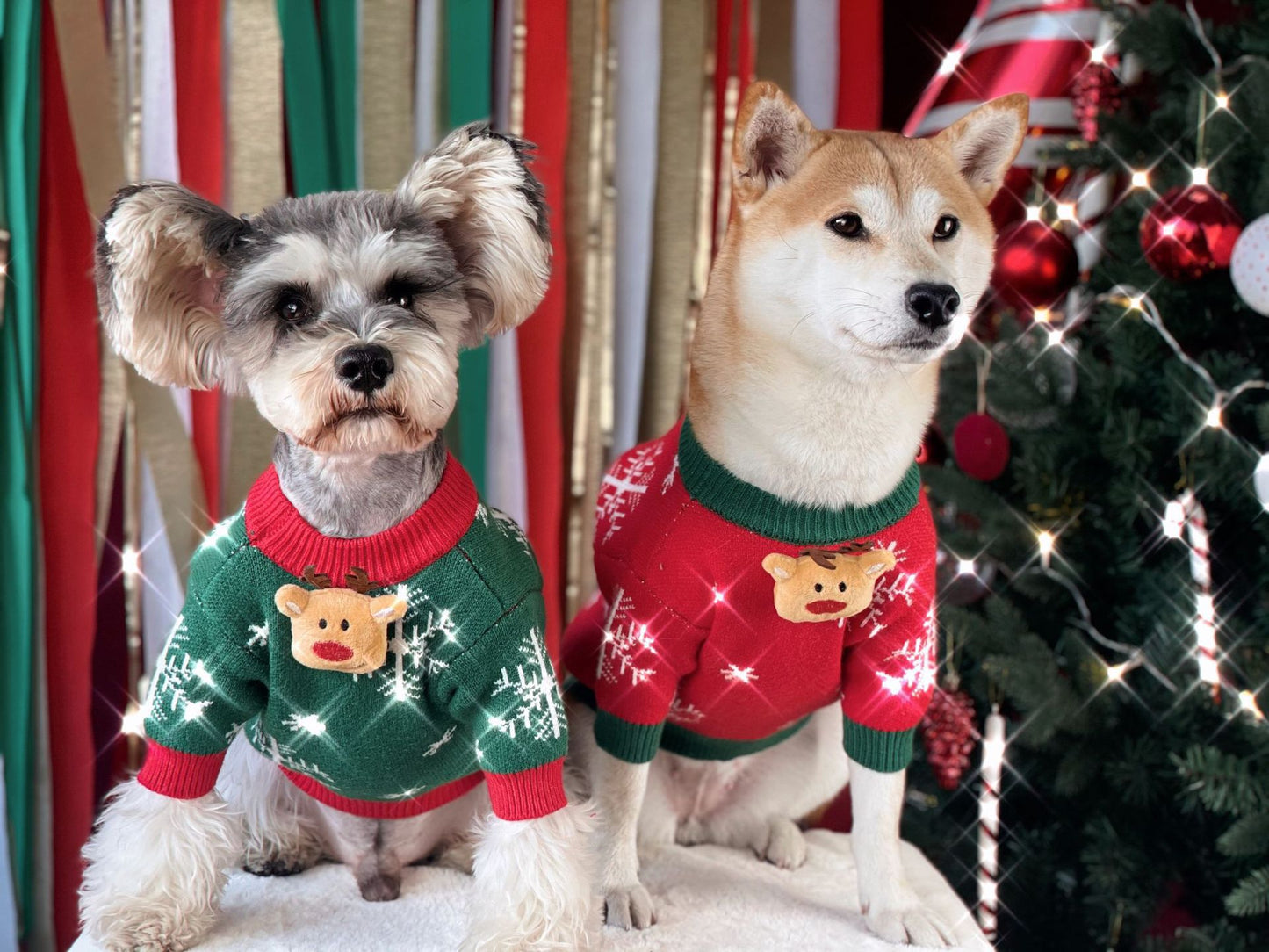 【TawneyBear】 Christmas Dog Sweater