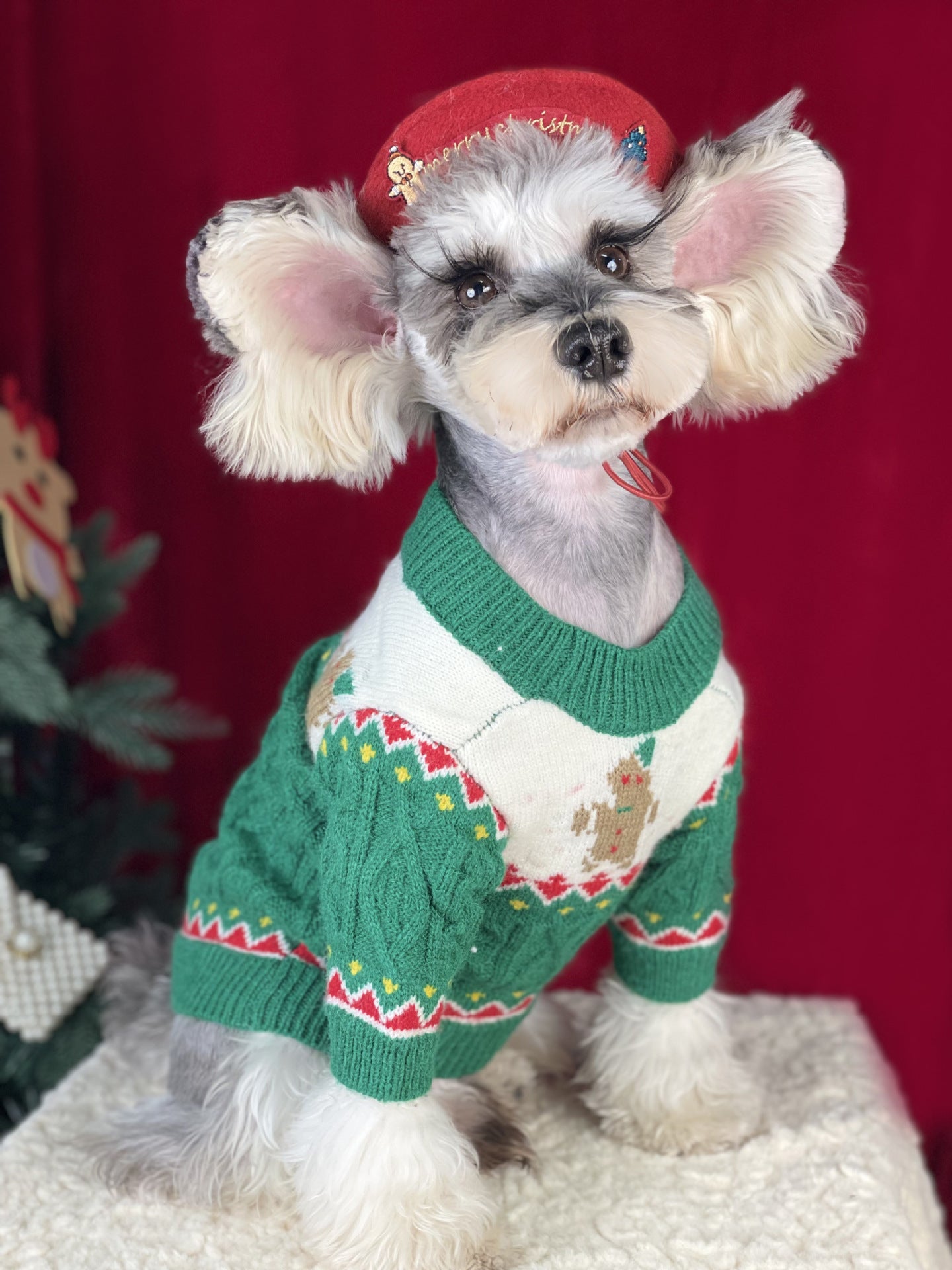 【TawneyBear】 Christmas Dog Sweater