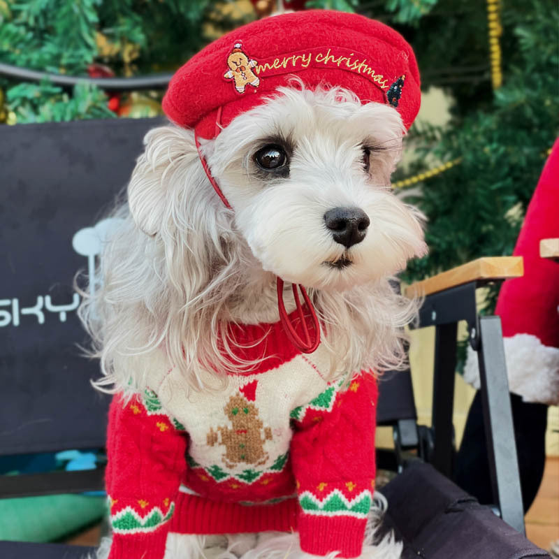 【TawneyBear】 Christmas Dog Sweater