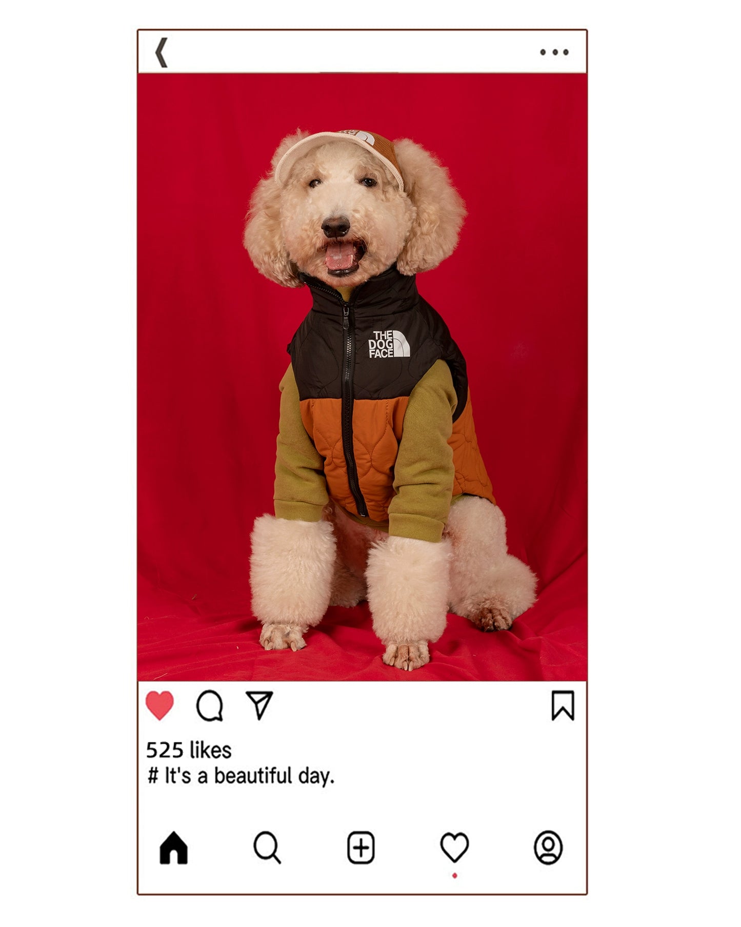 【FUNKYPET】Retro Quilted Dog Vest