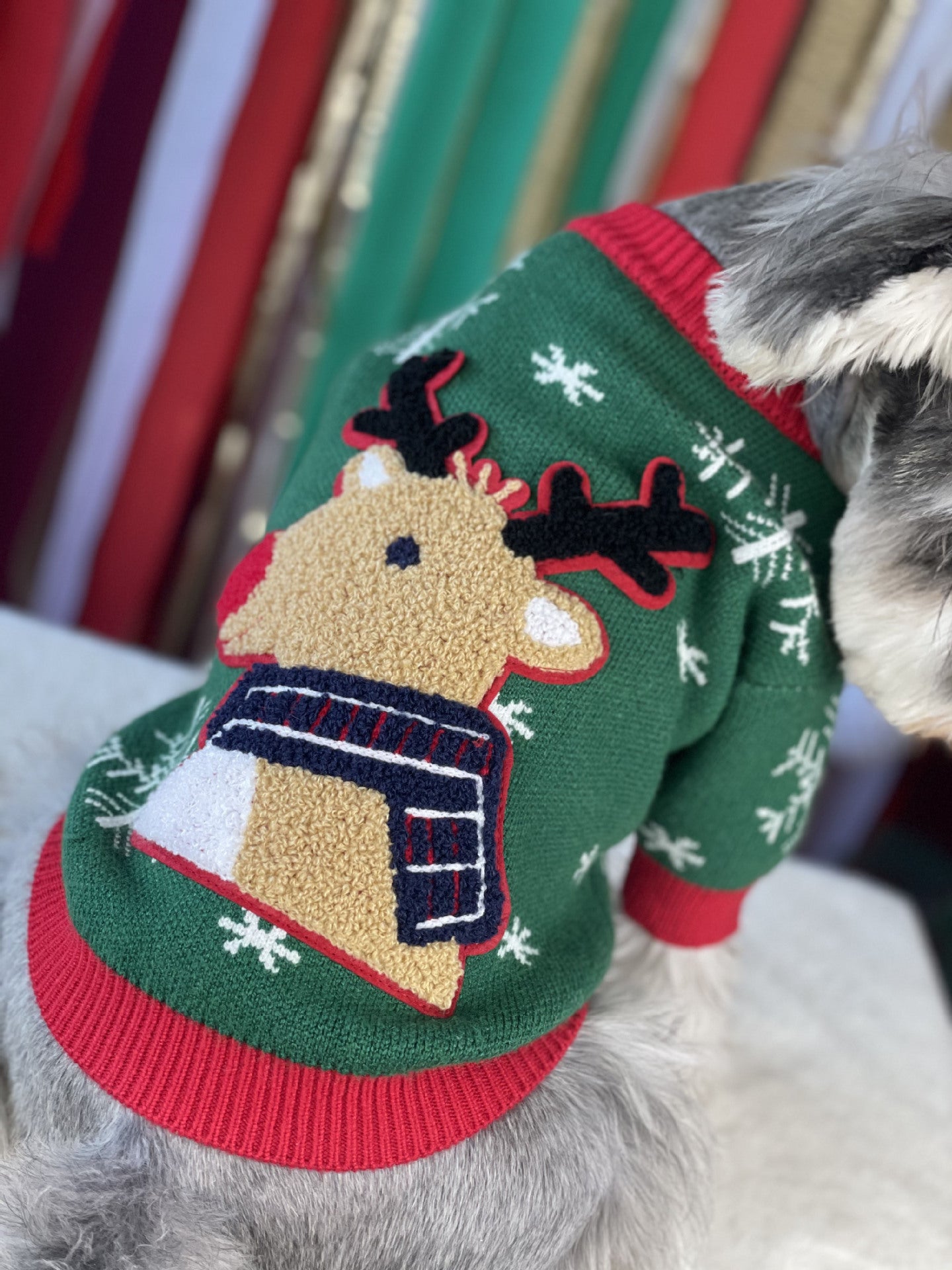 【TawneyBear】 Christmas Dog Sweater