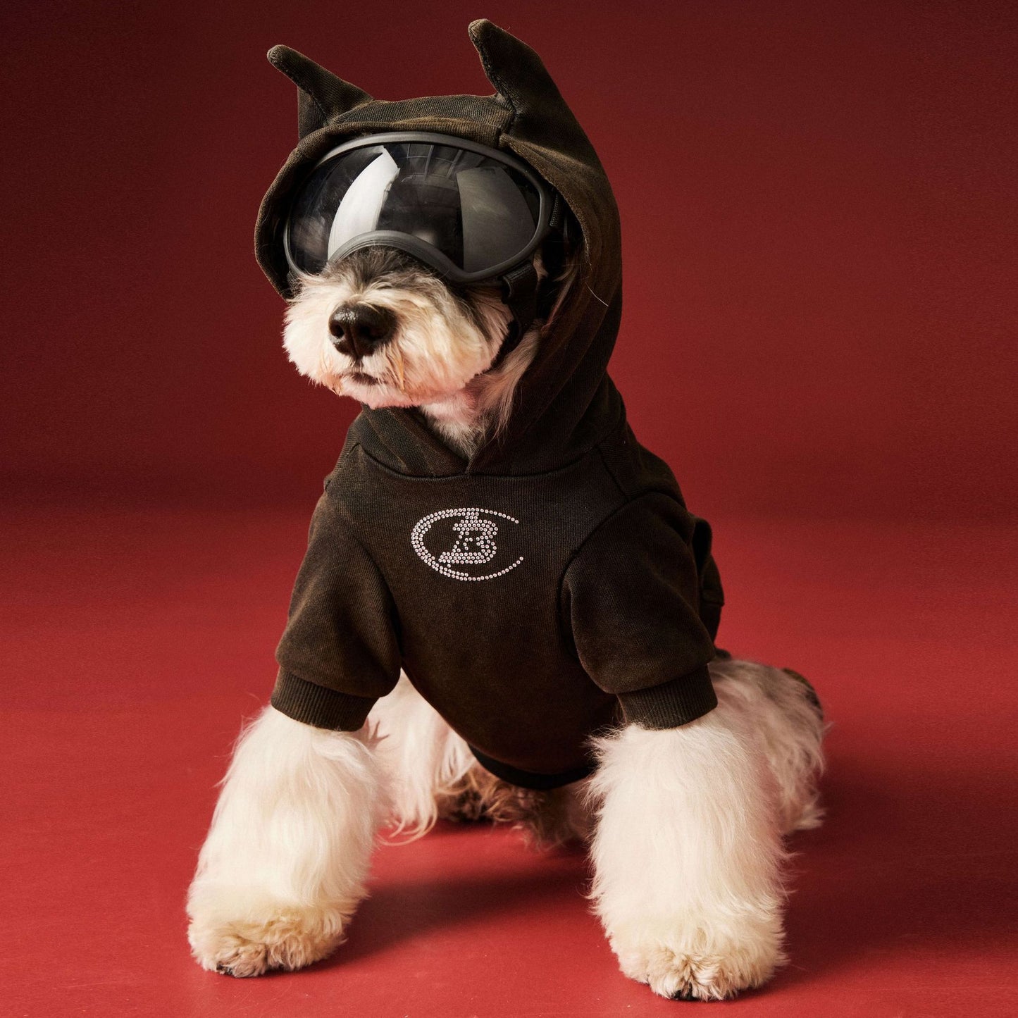 【TawneyBear】 Washed Vintage Sweatshirt with Rhinestone Horns