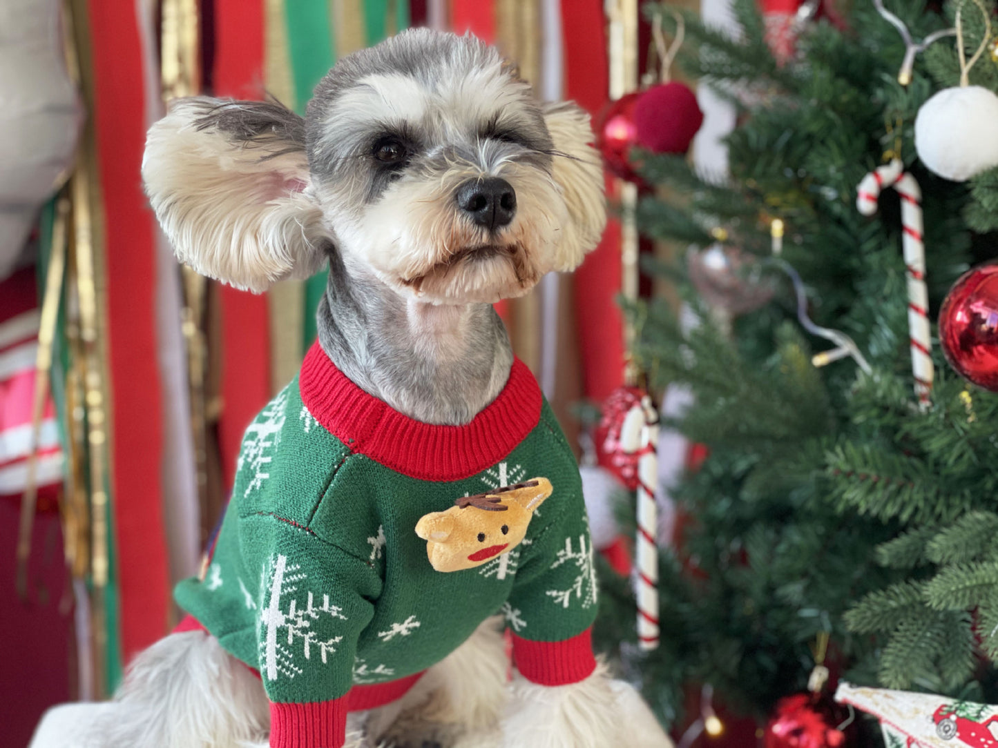【TawneyBear】 Christmas Dog Sweater