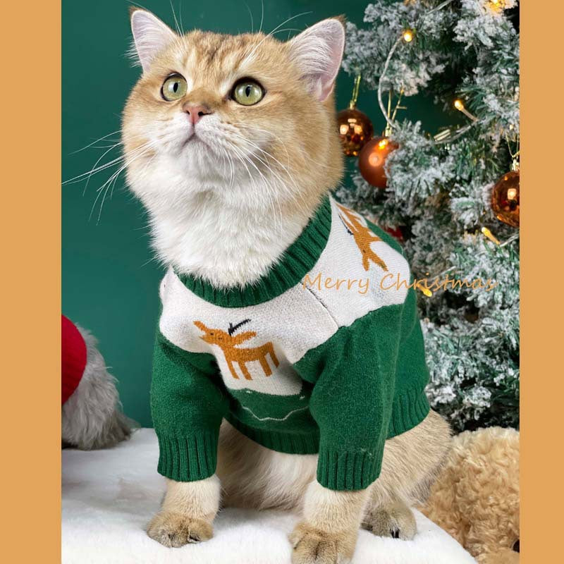 【TawneyBear】 Christmas Pet Sweater