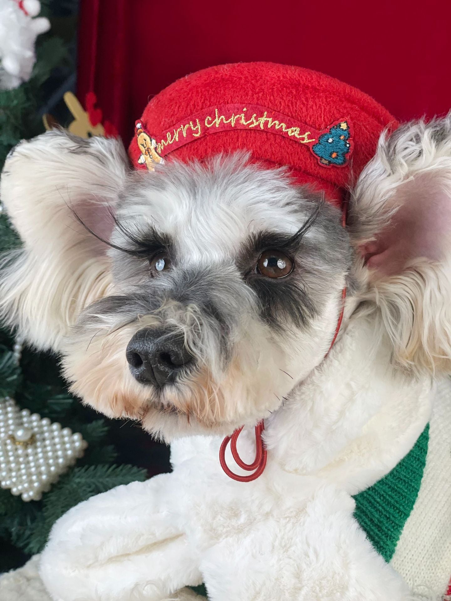 【TawneyBear】 Christmas Dog Sweater