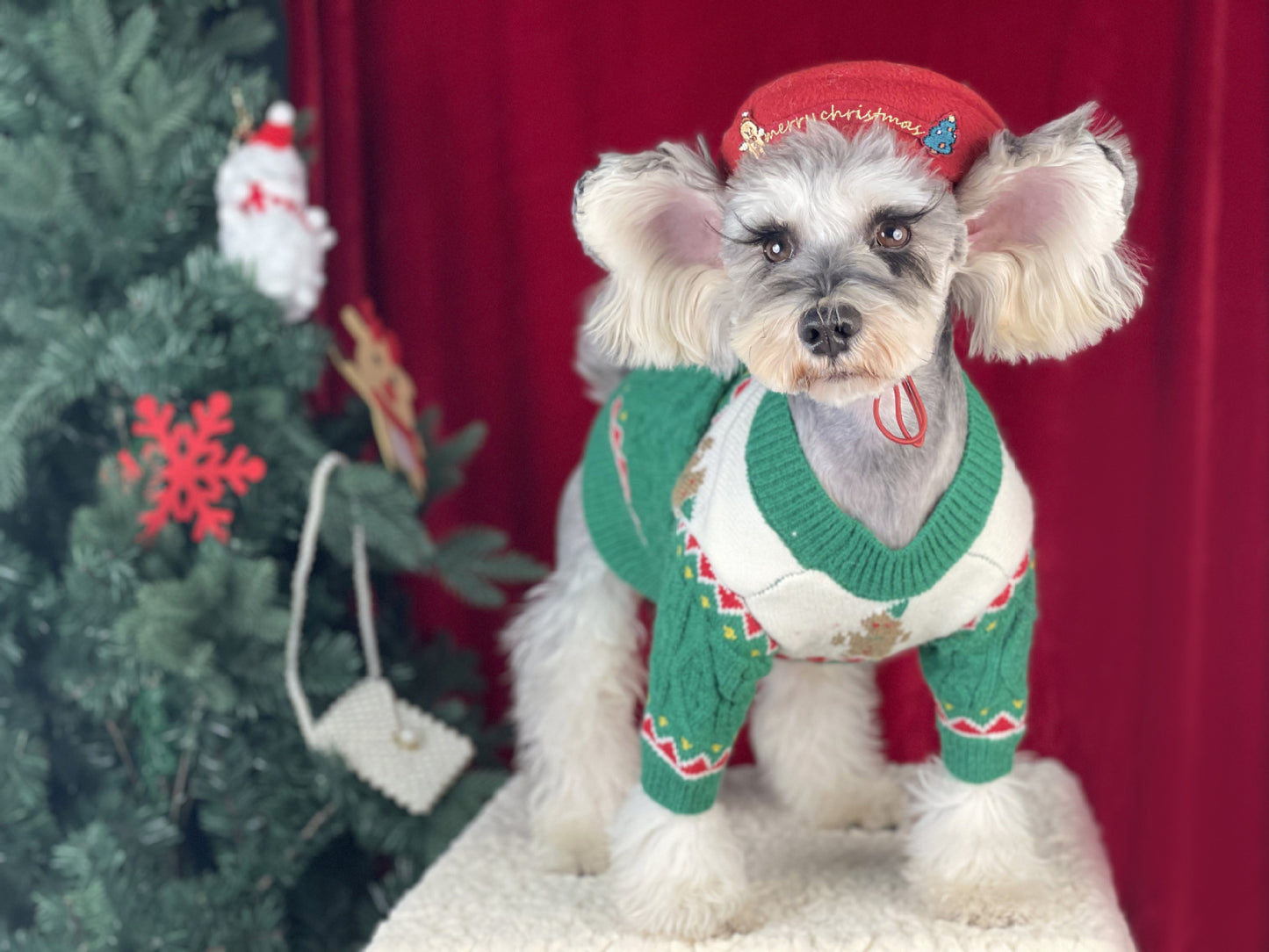 【TawneyBear】 Christmas Dog Sweater