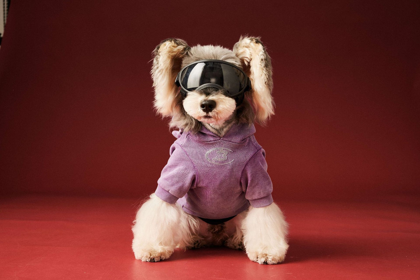 【TawneyBear】 Washed Vintage Sweatshirt with Rhinestone Horns