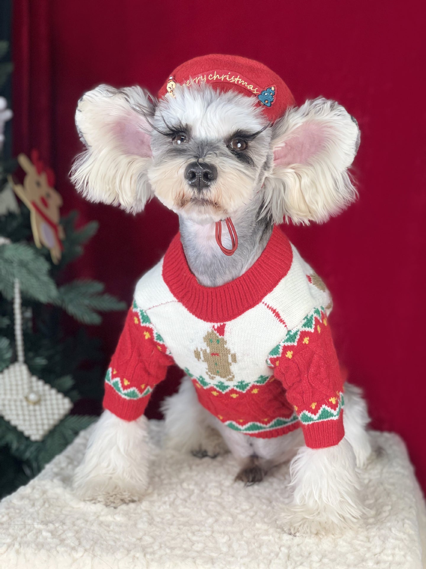 【TawneyBear】 Christmas Dog Sweater