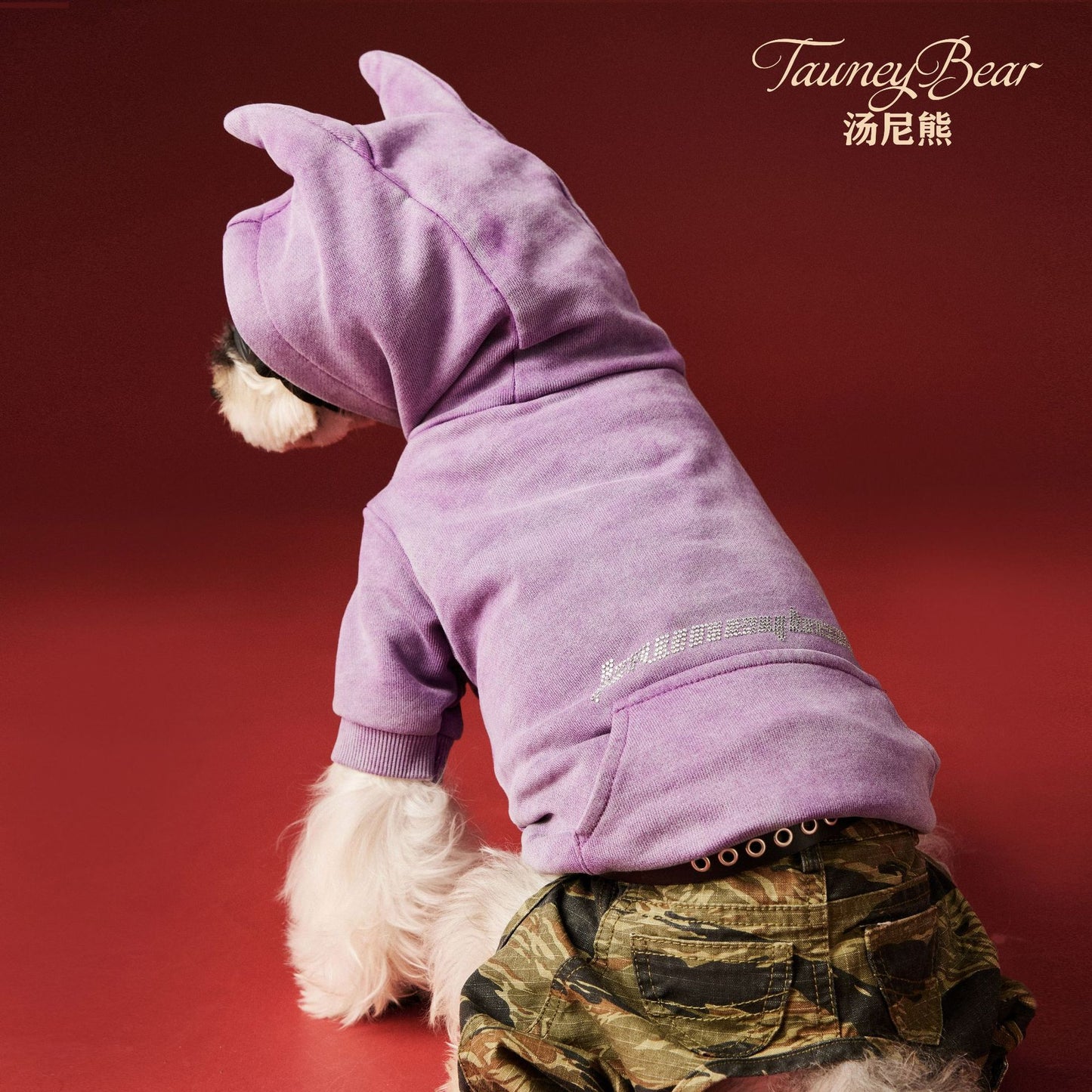【TawneyBear】 Washed Vintage Sweatshirt with Rhinestone Horns