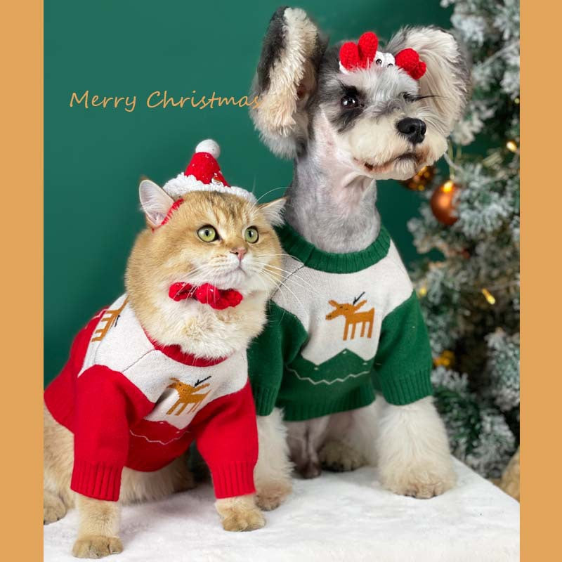 【TawneyBear】 Christmas Pet Sweater
