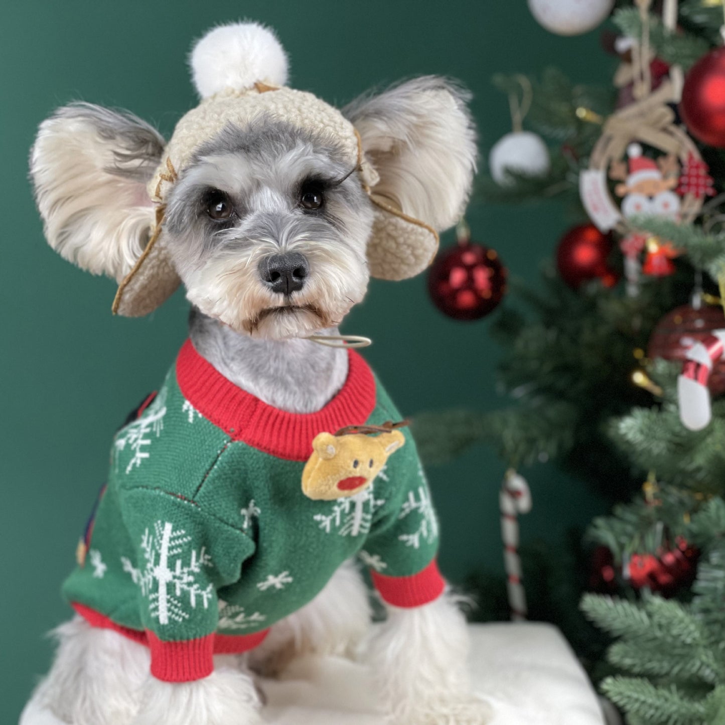 【TawneyBear】 Christmas Dog Sweater