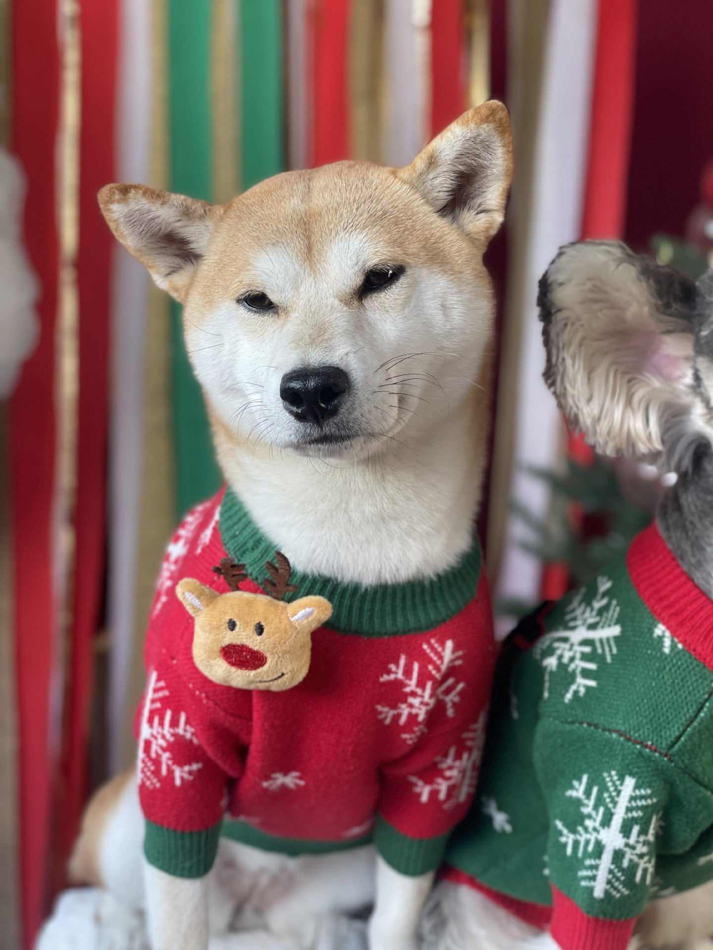 【TawneyBear】 Christmas Dog Sweater