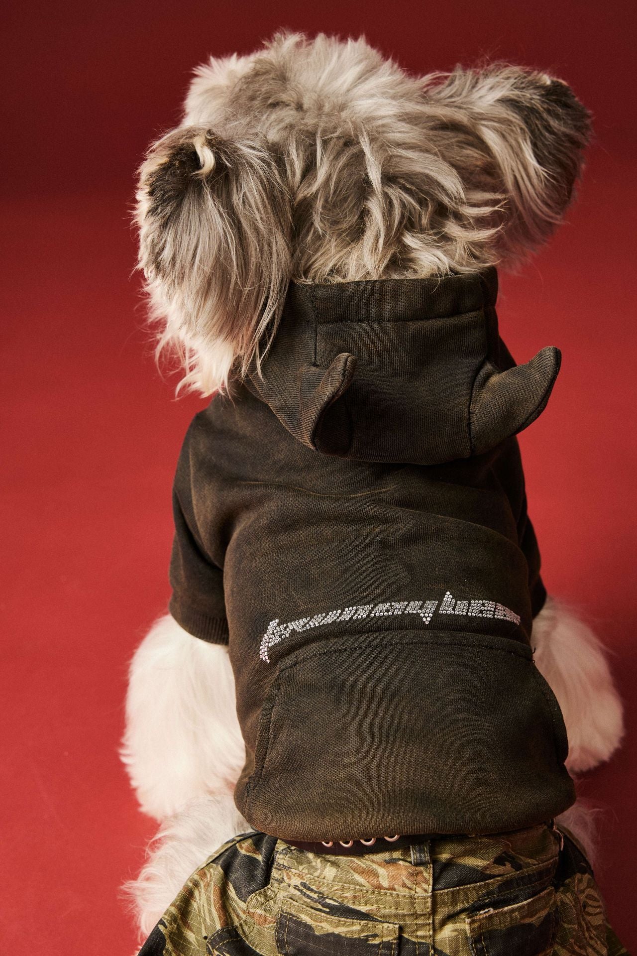 【TawneyBear】 Washed Vintage Sweatshirt with Rhinestone Horns