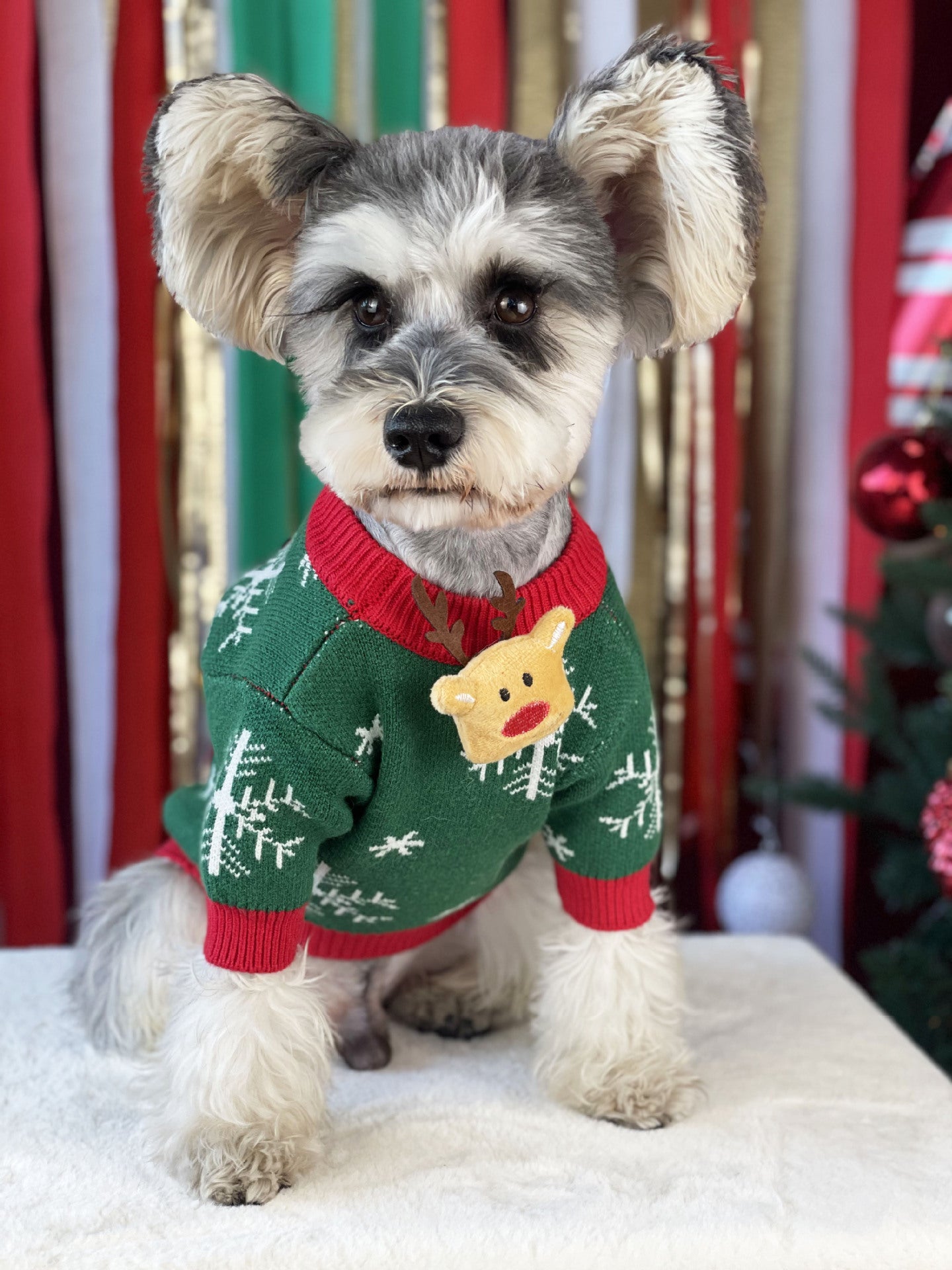 【TawneyBear】 Christmas Dog Sweater