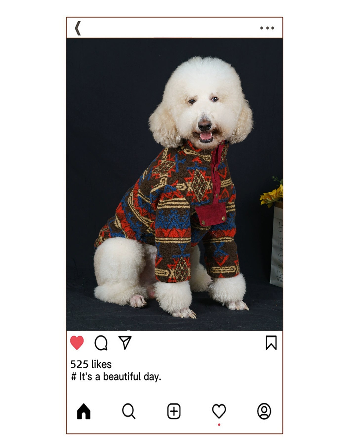 【FUNKYPET】 Stylish Winter Lamb Wool Dog Jacket