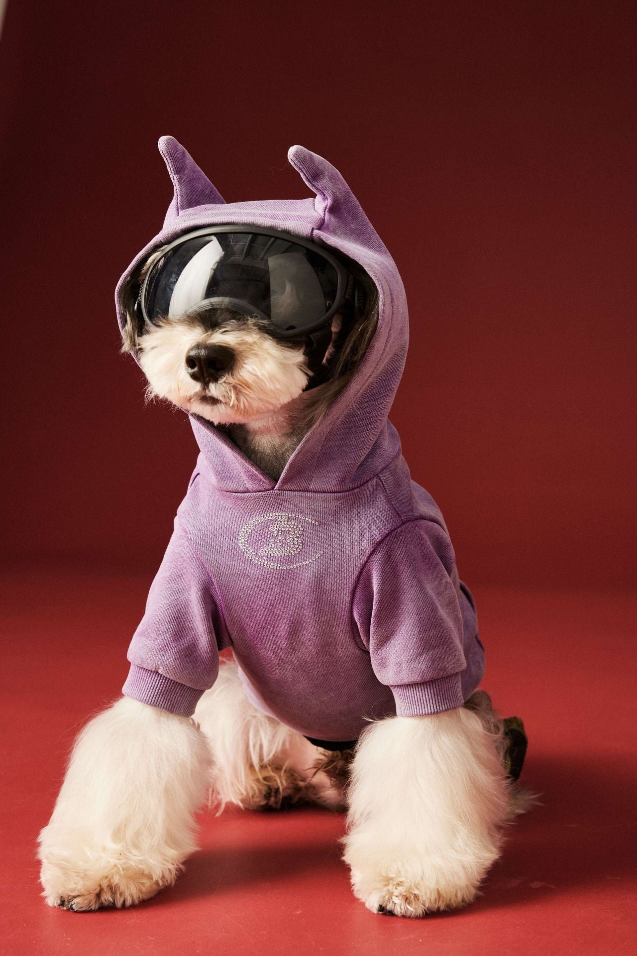 【TawneyBear】 Washed Vintage Sweatshirt with Rhinestone Horns