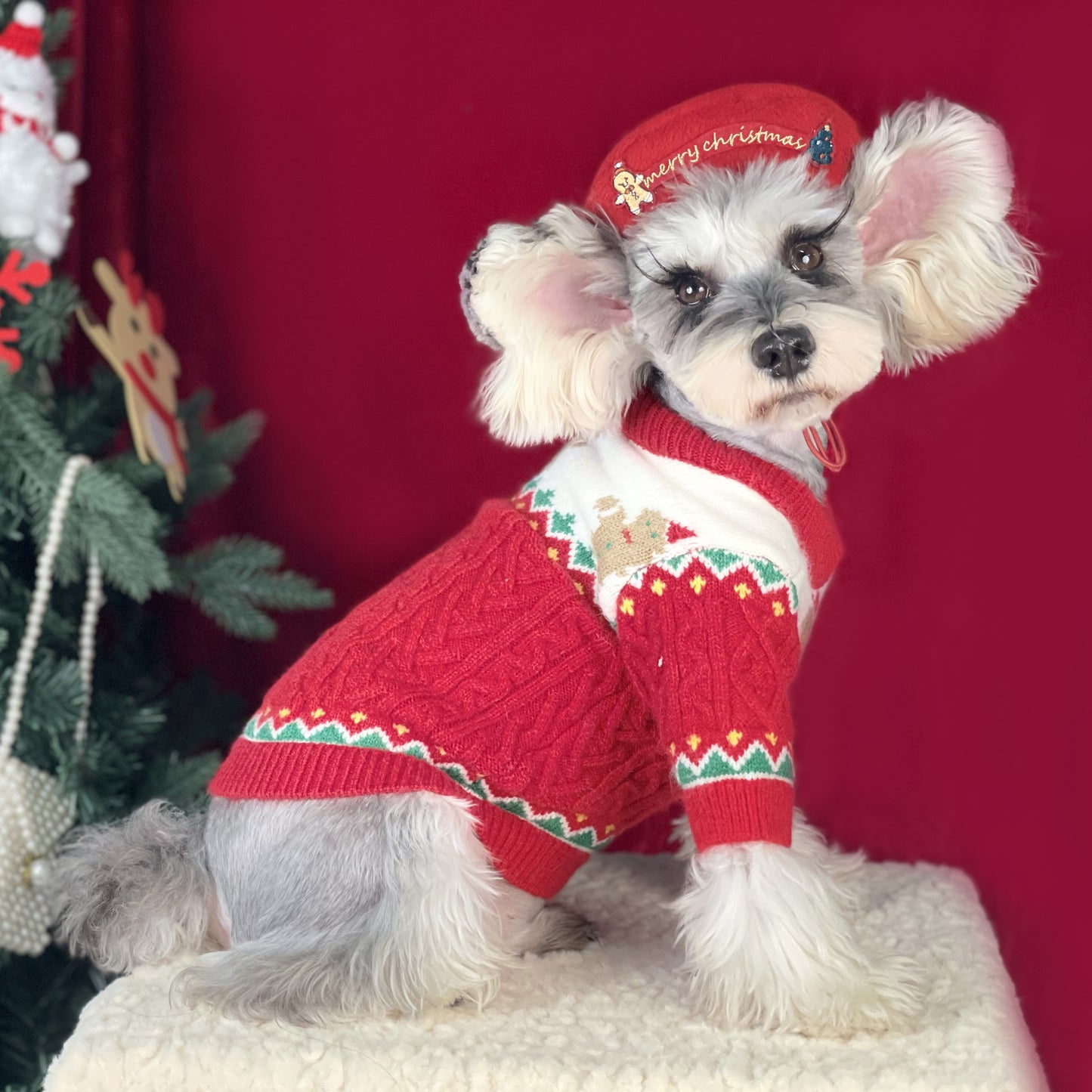 【TawneyBear】 Christmas Dog Sweater