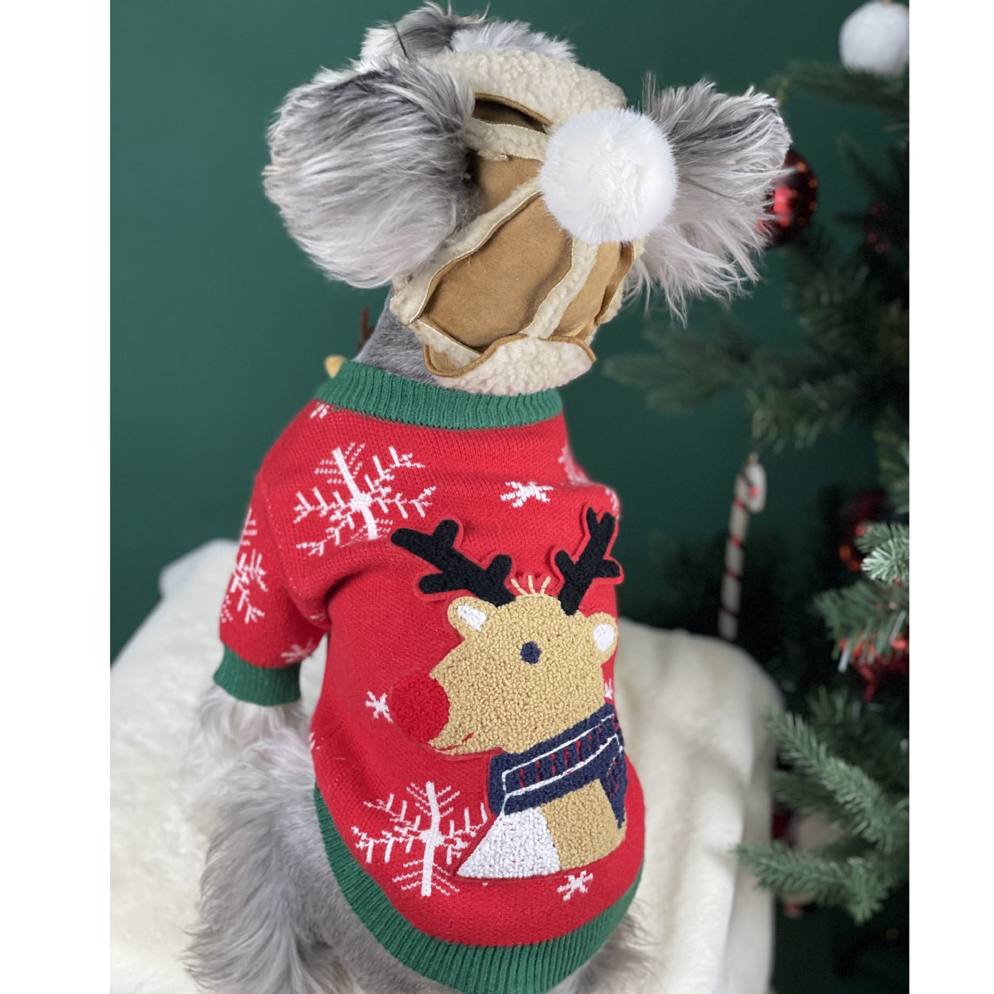 【TawneyBear】 Christmas Dog Sweater