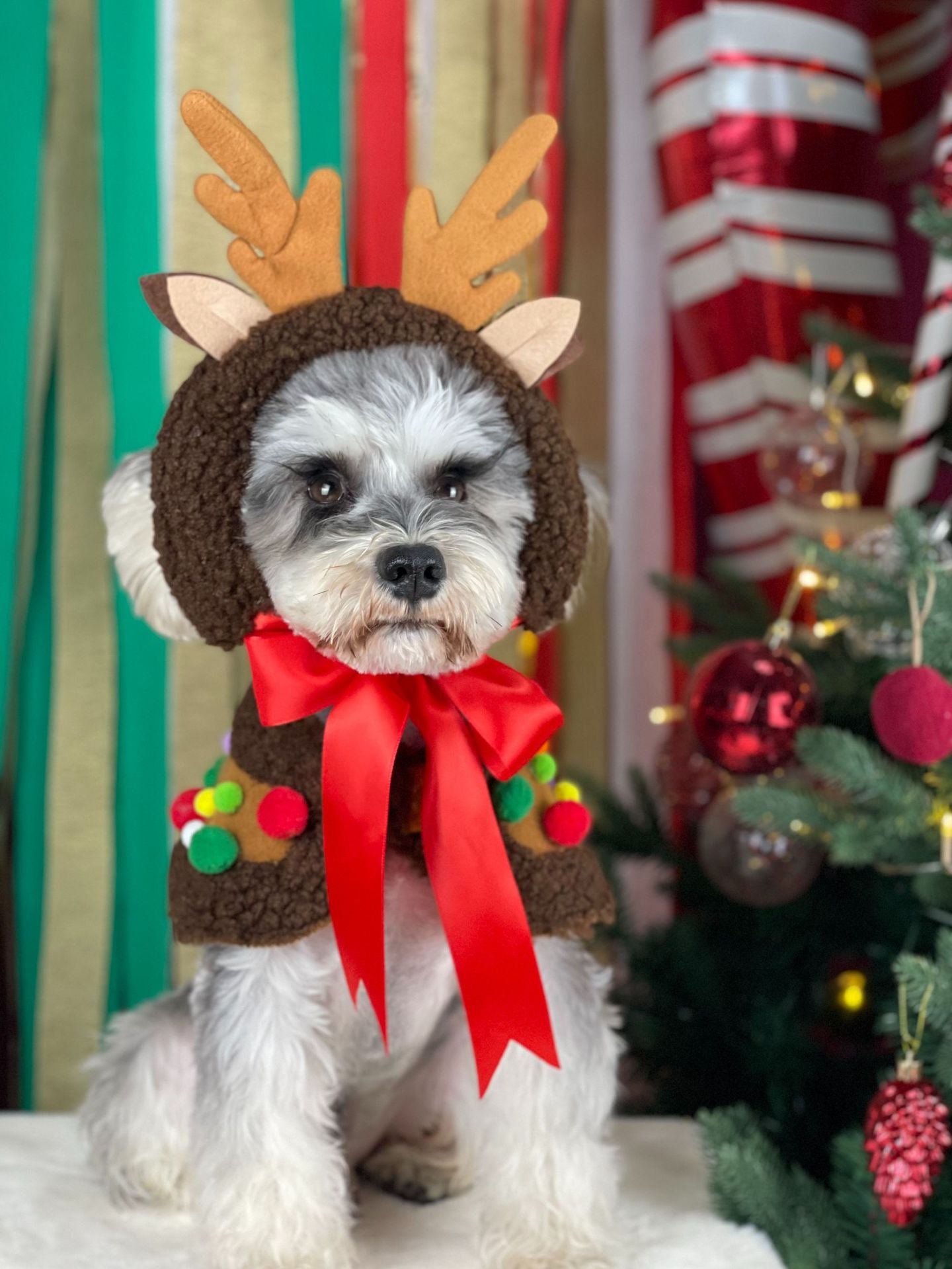 【TawneyBear】 Christmas Dog Headwear Accessories,