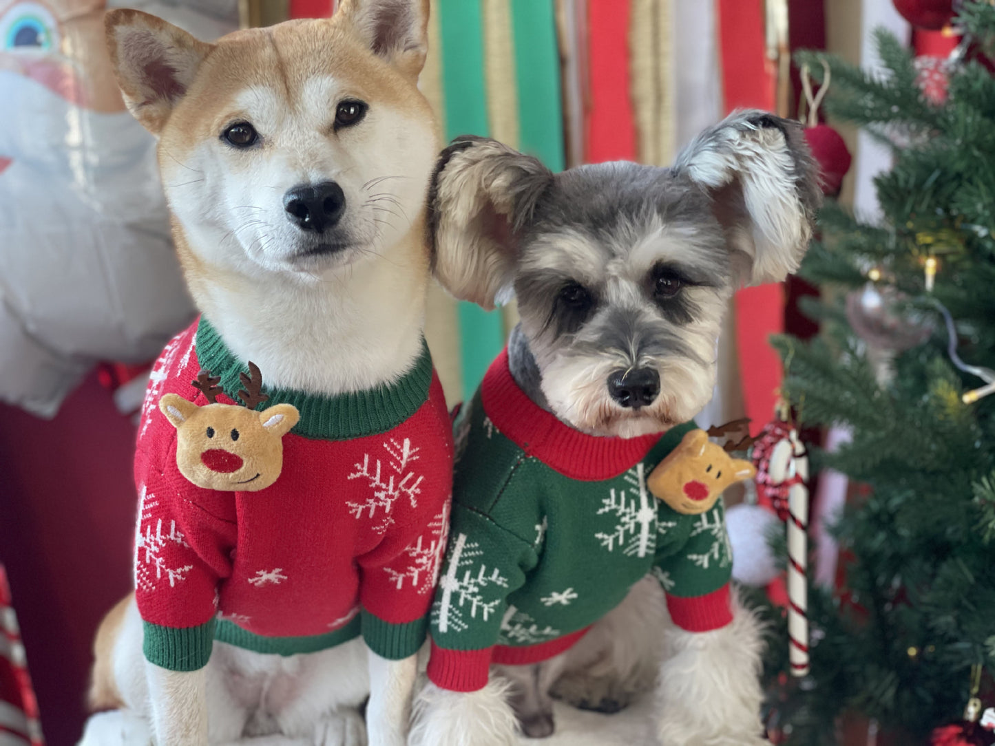 【TawneyBear】 Christmas Dog Sweater