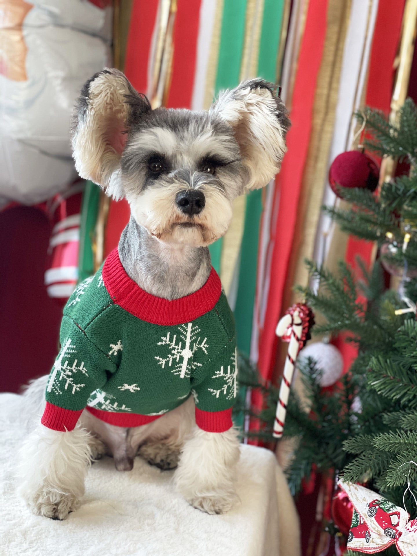 【TawneyBear】 Christmas Dog Sweater