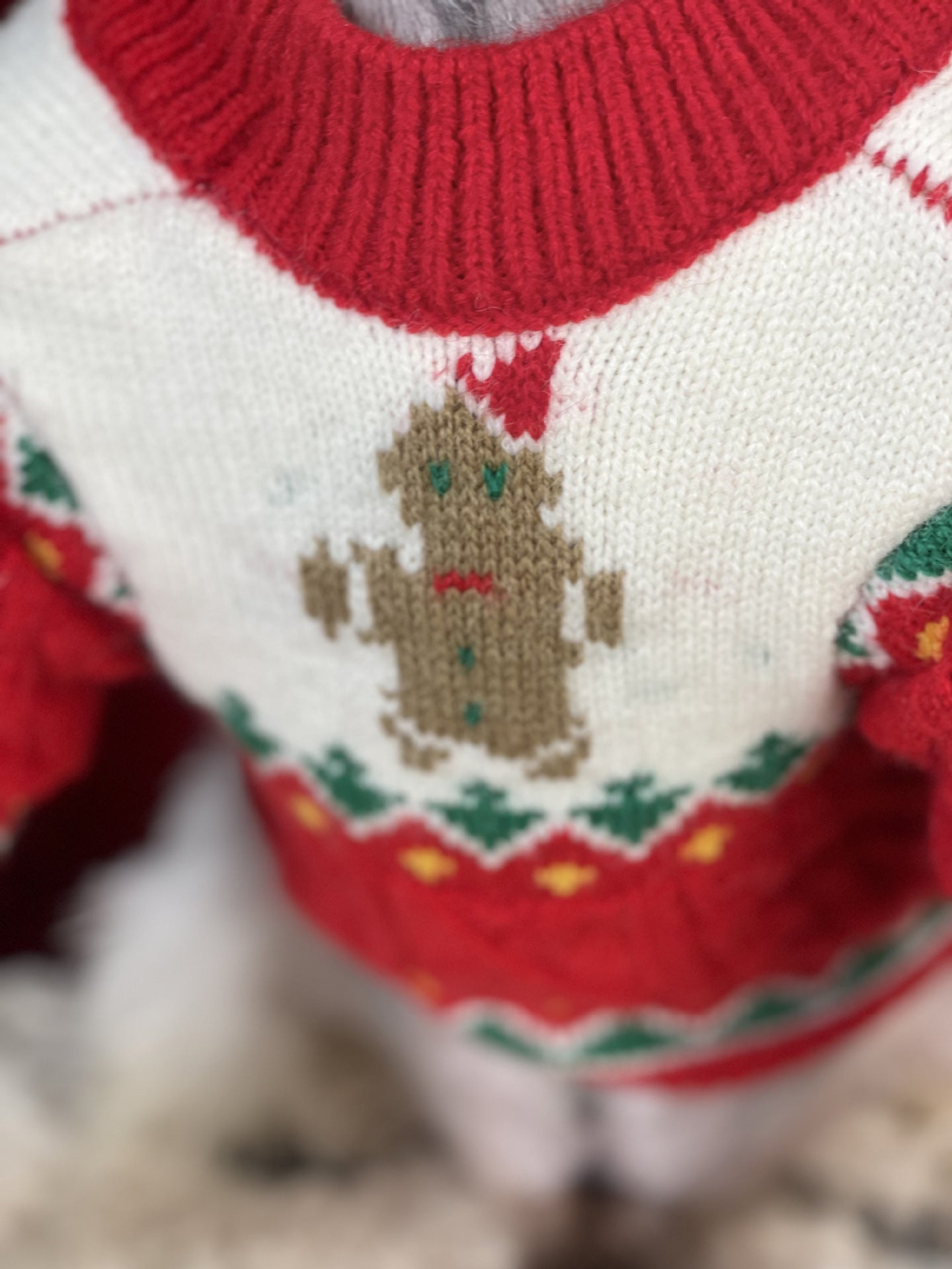 【TawneyBear】 Christmas Dog Sweater