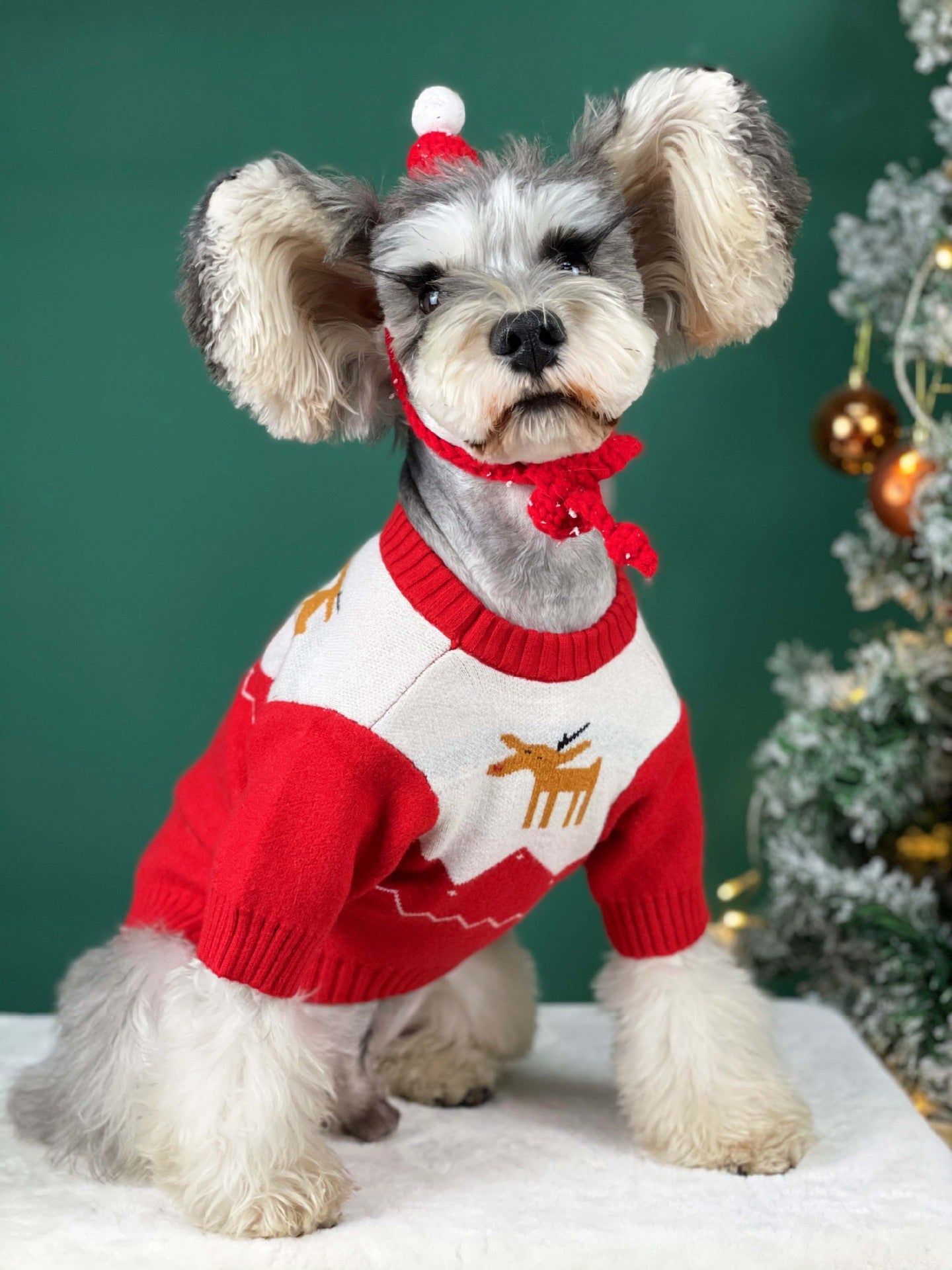 【TawneyBear】 Christmas Pet Sweater