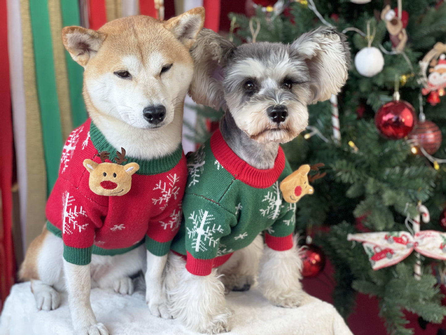 【TawneyBear】 Christmas Dog Sweater