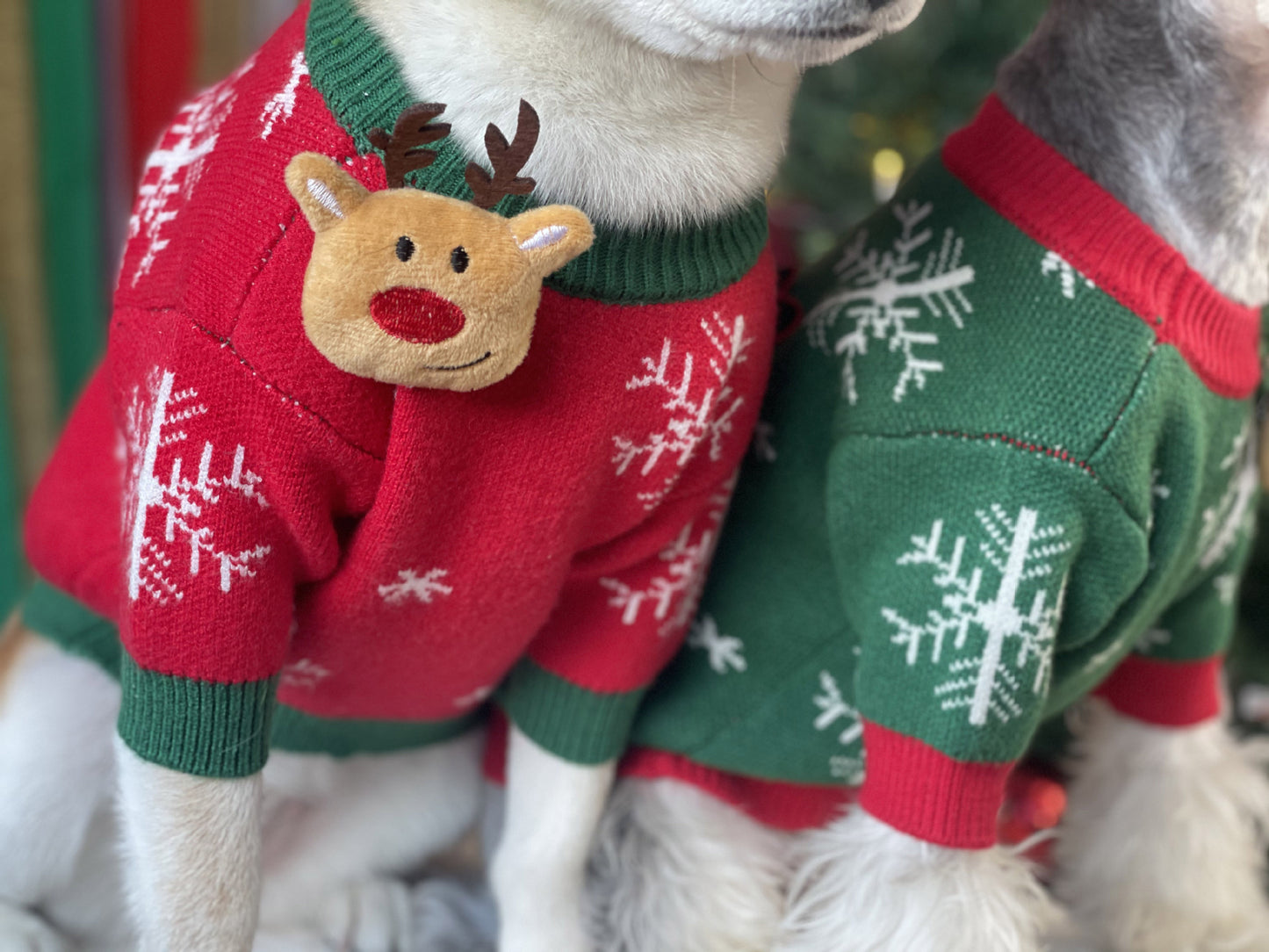 【TawneyBear】 Christmas Dog Sweater