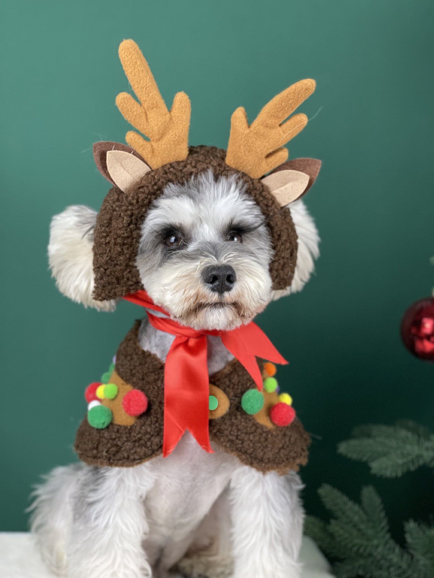 【TawneyBear】 Christmas Dog Headwear Accessories,