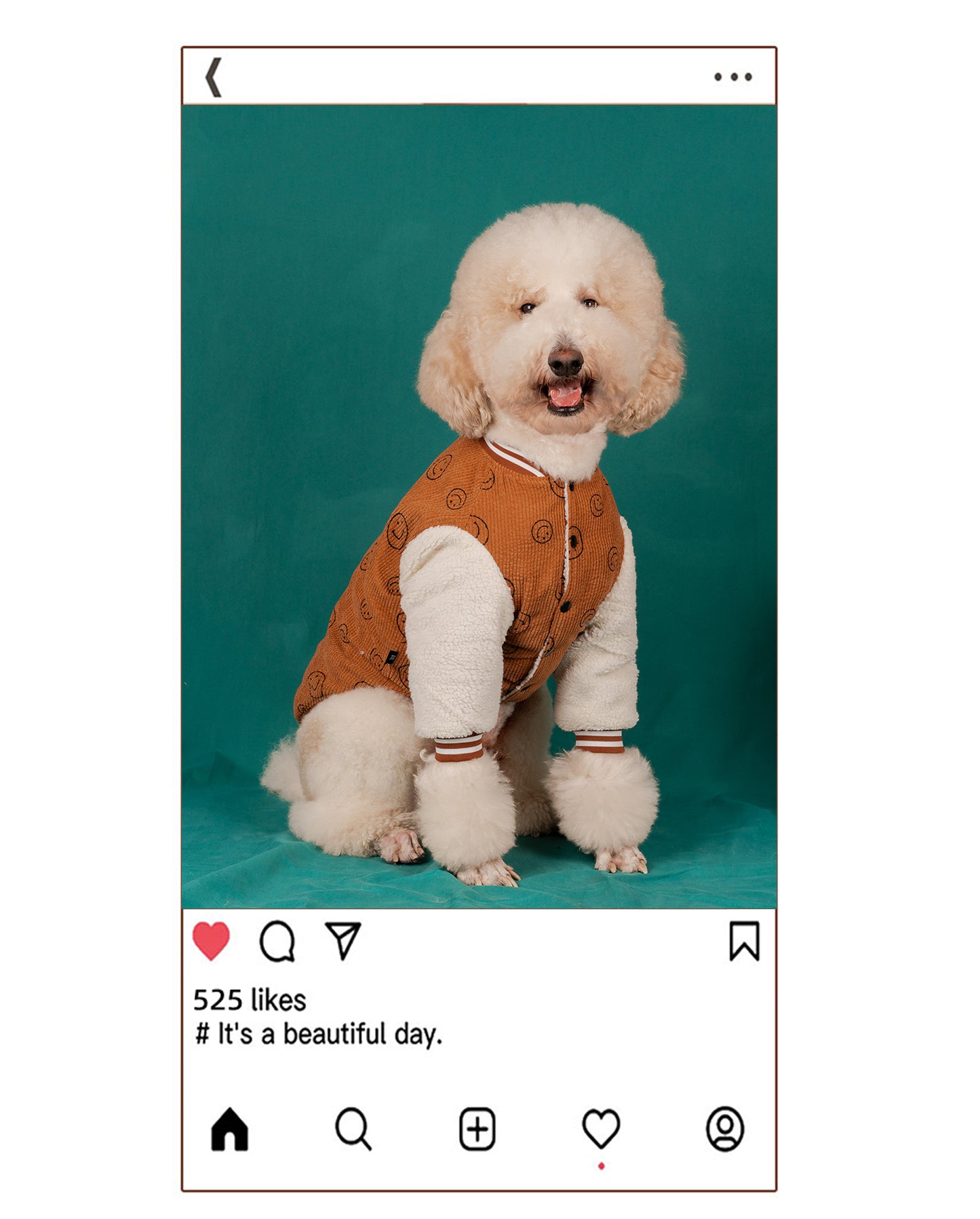 【FUNKYPET】 Reversible Sherpa Dog Jacket