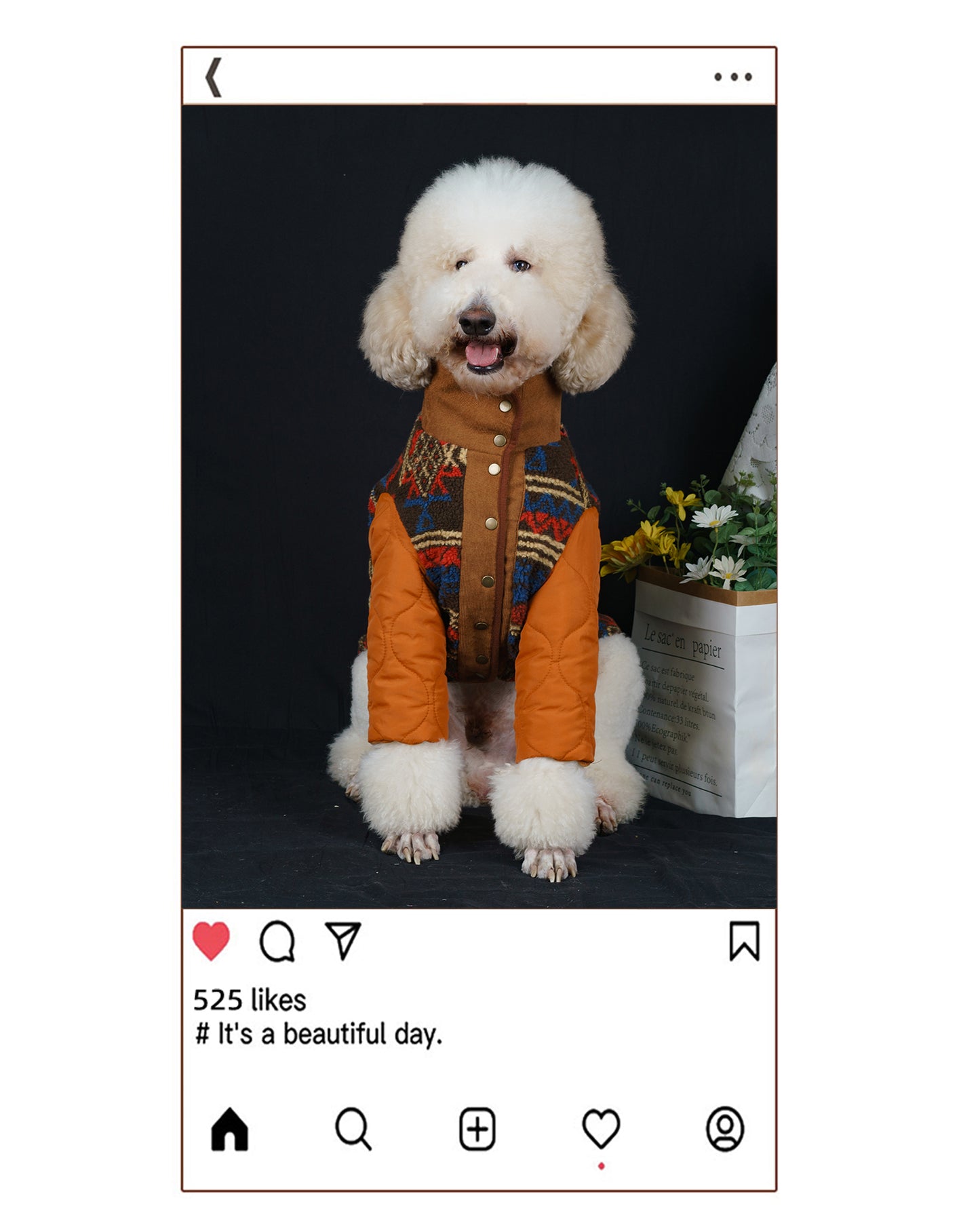 【FUNKYPET】 Ethnic Style Warm Dog Coat for Large Breeds