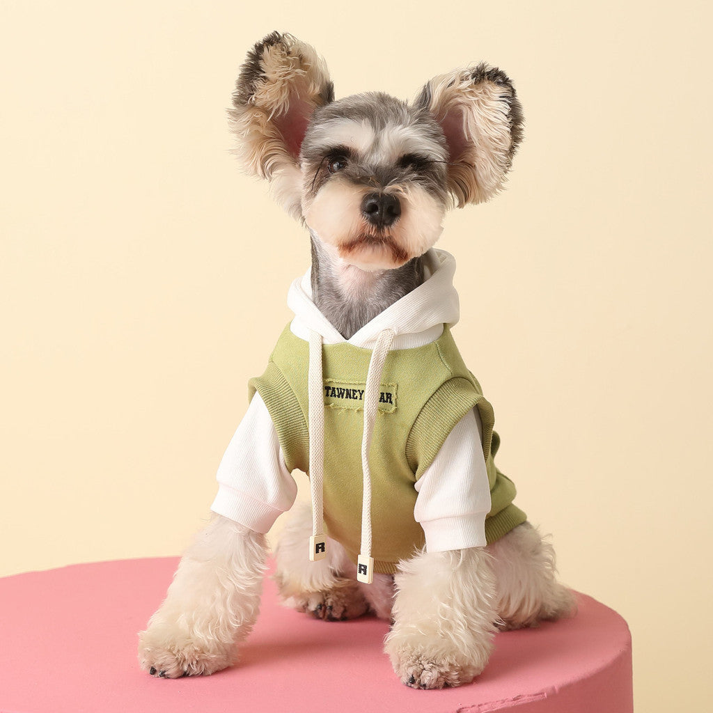 【TawneyBear】 Autumn Color Block Hooded Sweatshirt