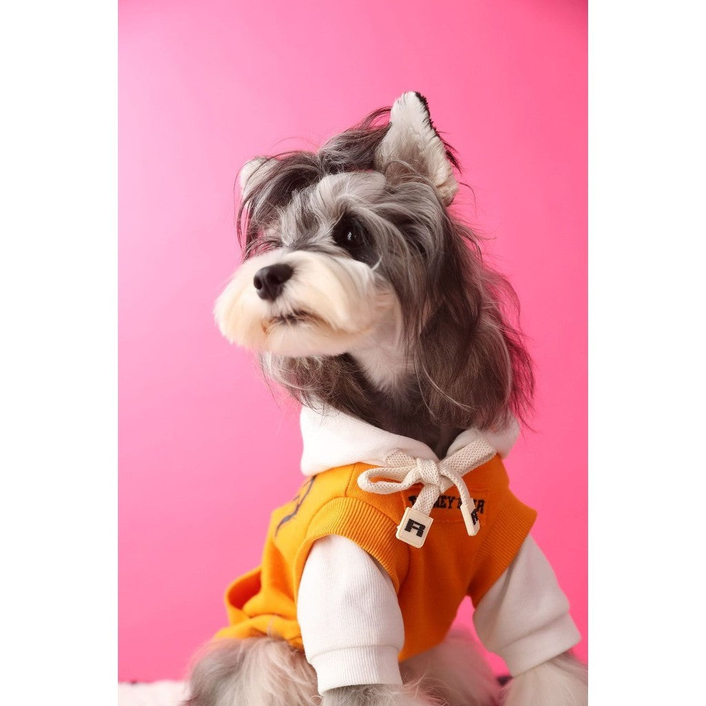 【TawneyBear】 Autumn Color Block Hooded Sweatshirt