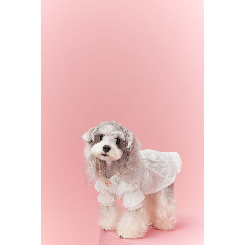【TawneyBear】 Lace Shirt