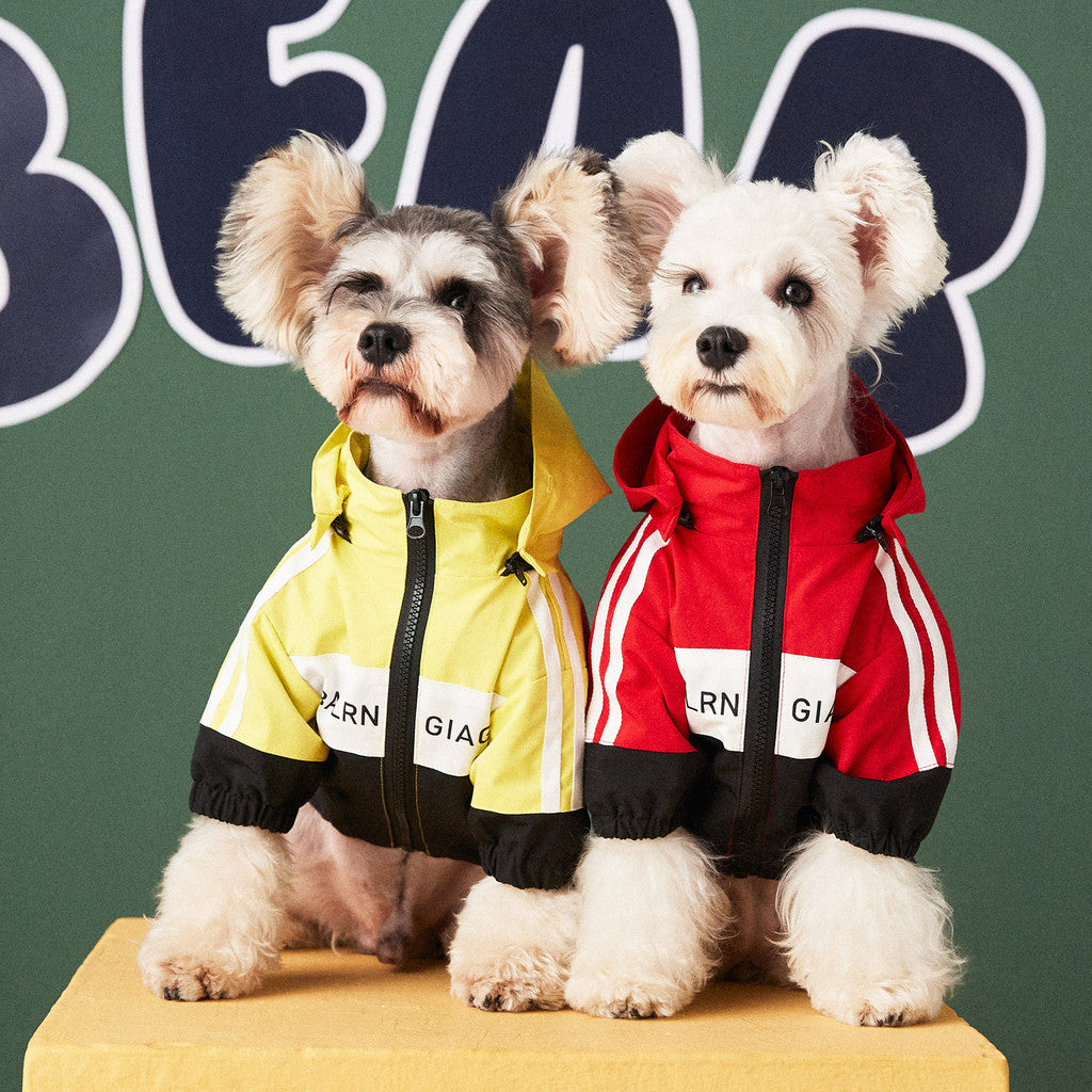 【TawneyBear】 Waterproof Outdoor Jacket Raincoat