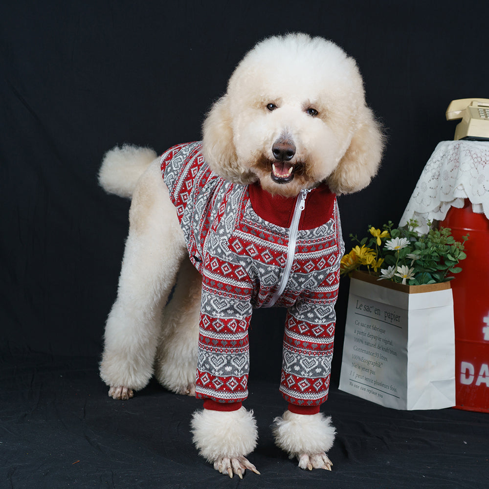 【FUNKYPET】 Festive Large Dog Jacket