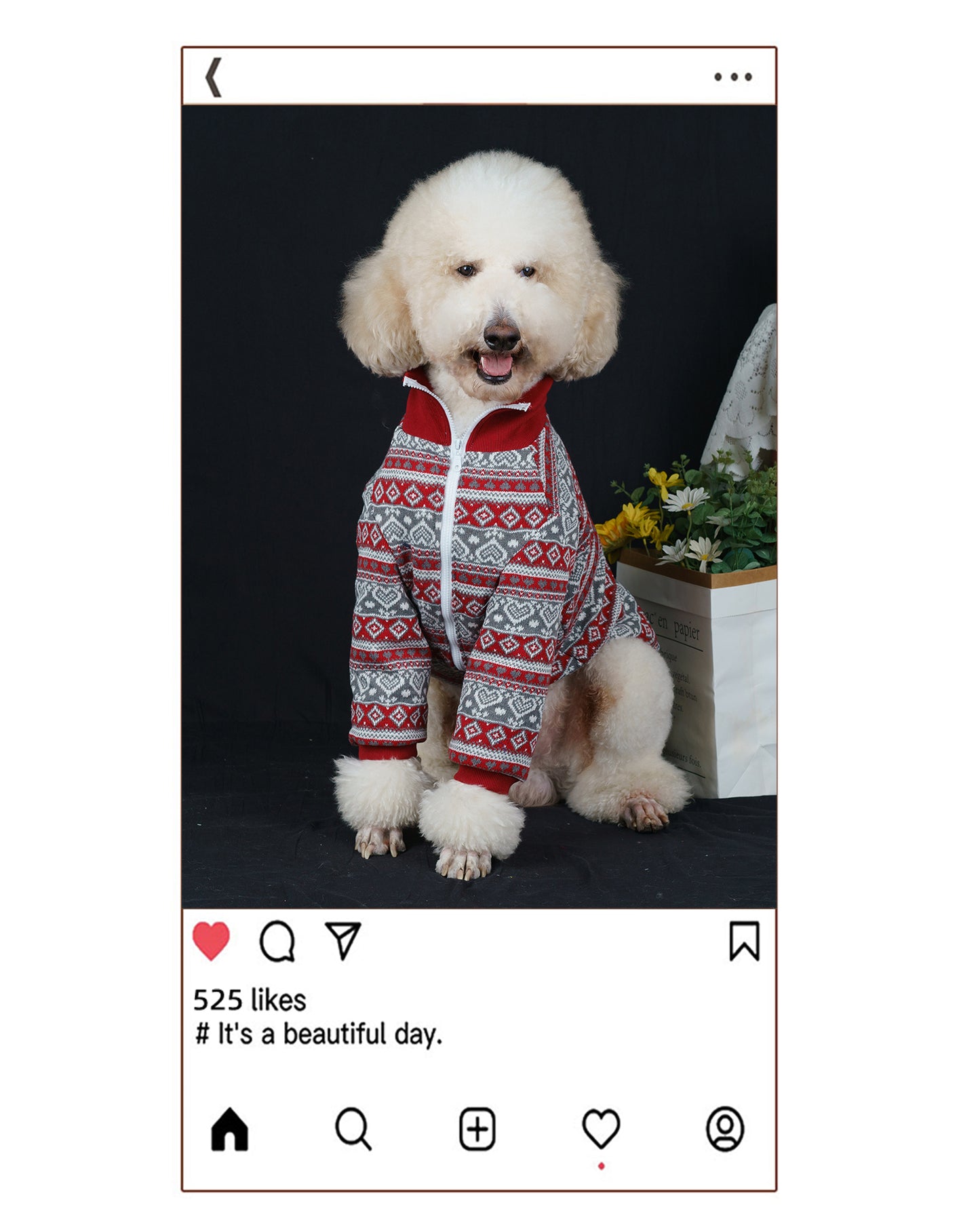 【FUNKYPET】 Festive Large Dog Jacket